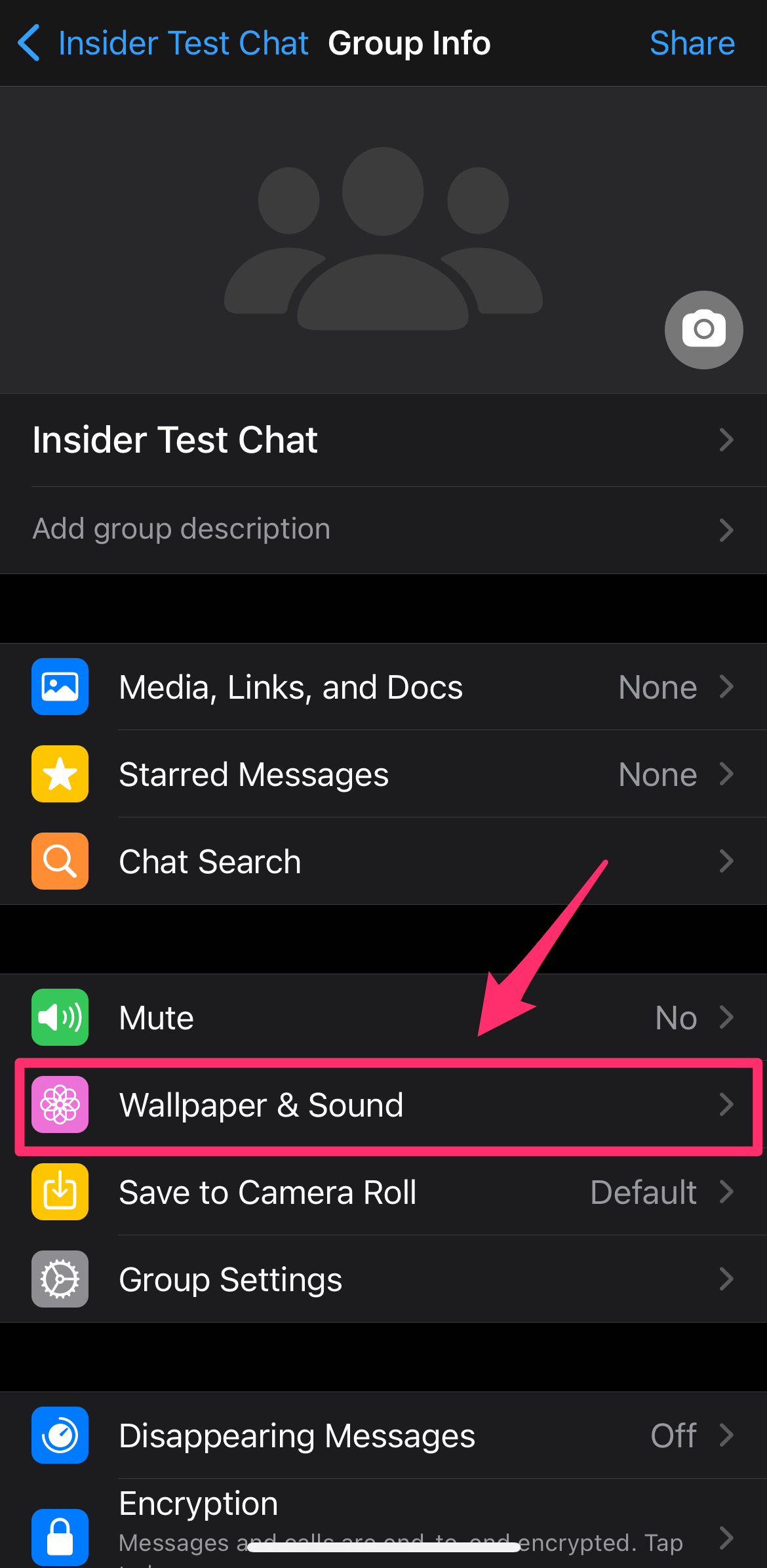 Screenshot of the Group Info page of a WhatsApp chat with Wallpaper & Sound highlighted