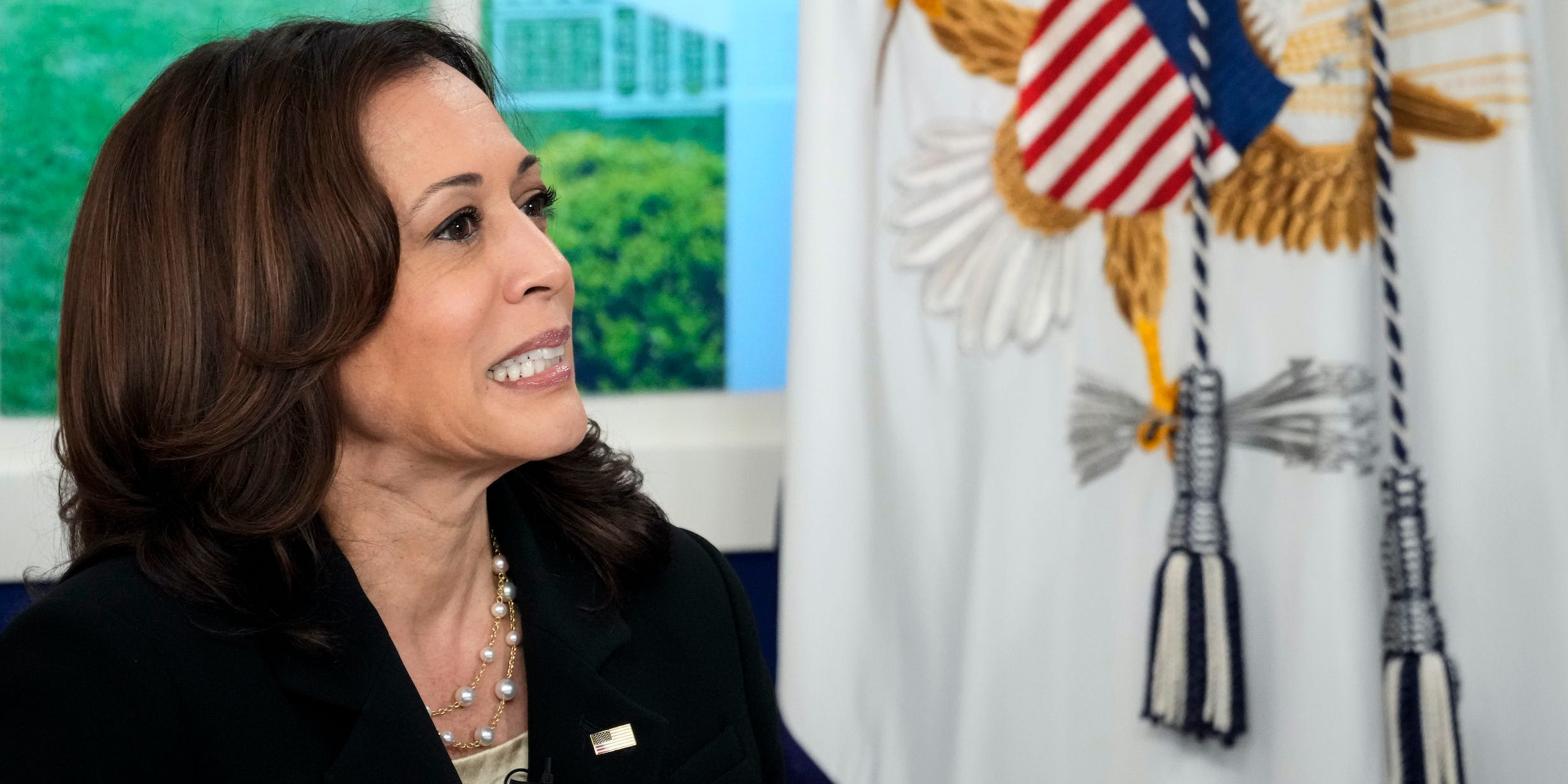 Vice President Kamala Harris speaks during a virtual United Nations General Assembly COVID-19 summit in the South Court Auditorium in the White House September 22, 2021 in Washington, DC.