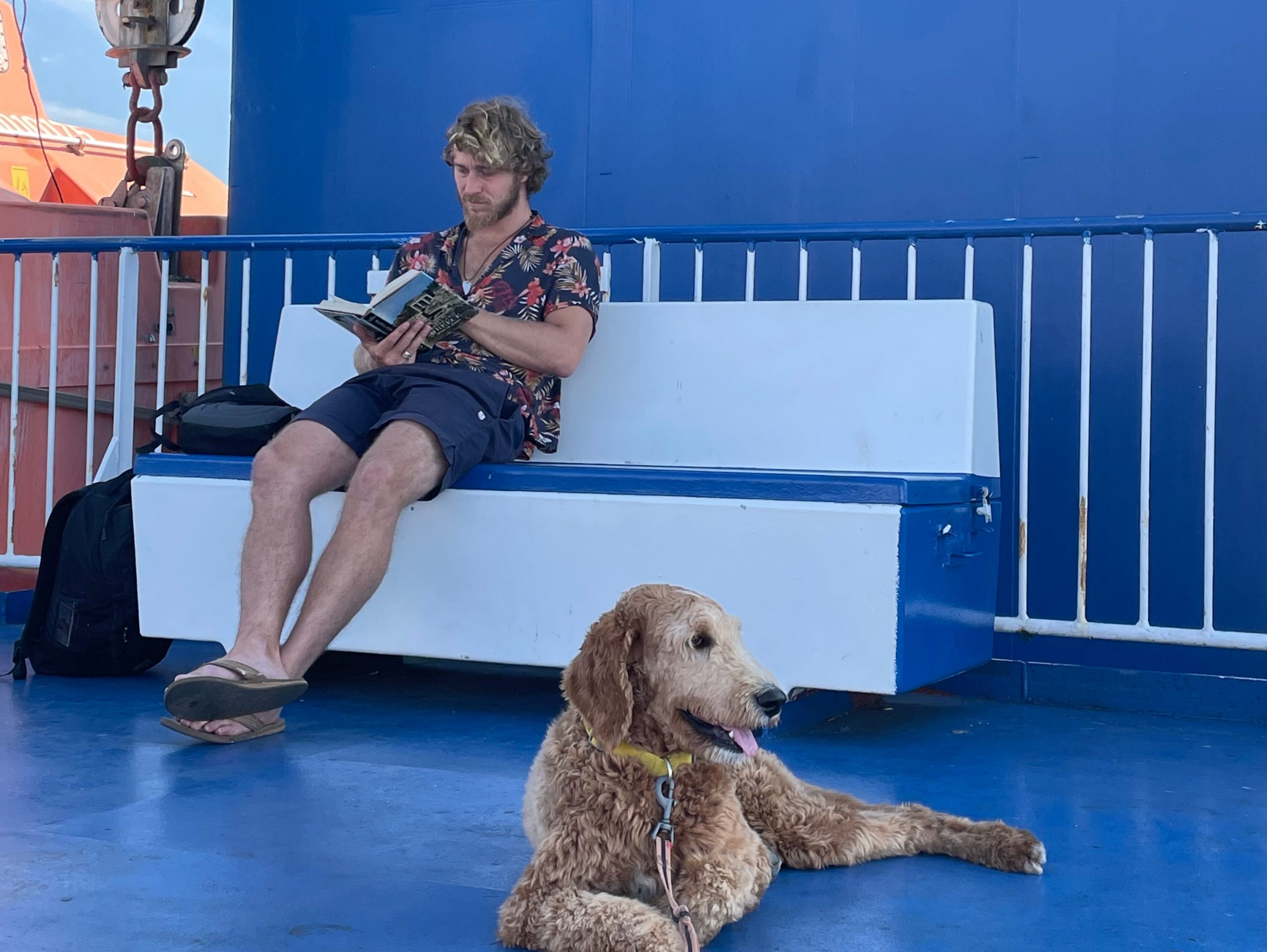 Theo reading on a  blue ferry with his dog.