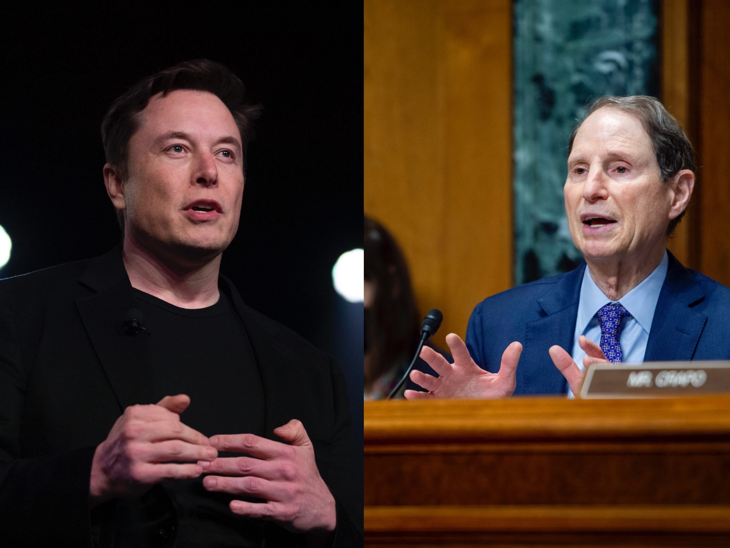 Elon Musk and Ron Wyden