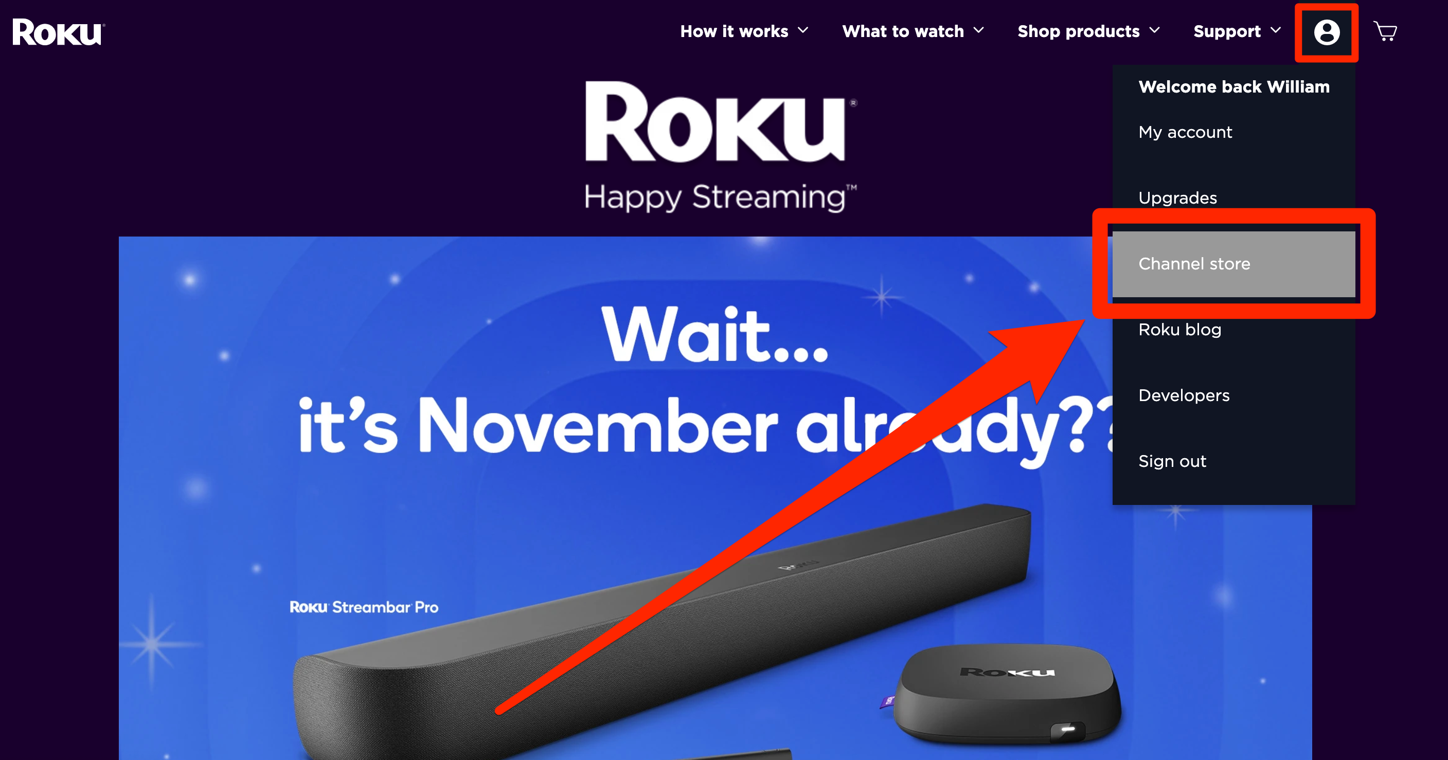 The "Channel store" option on the Roku website.