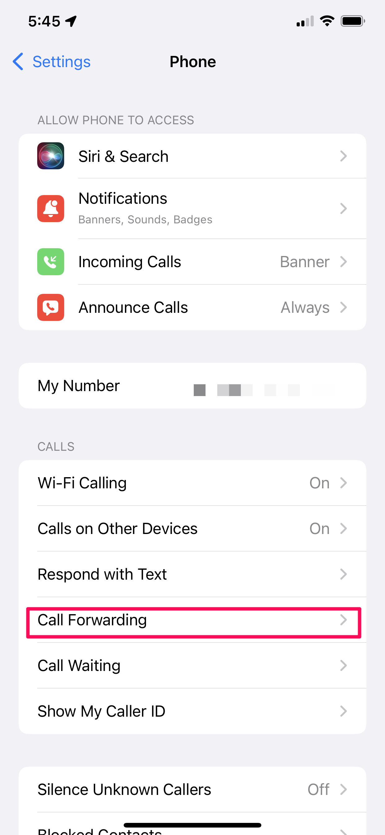 Phone settings on iOS.