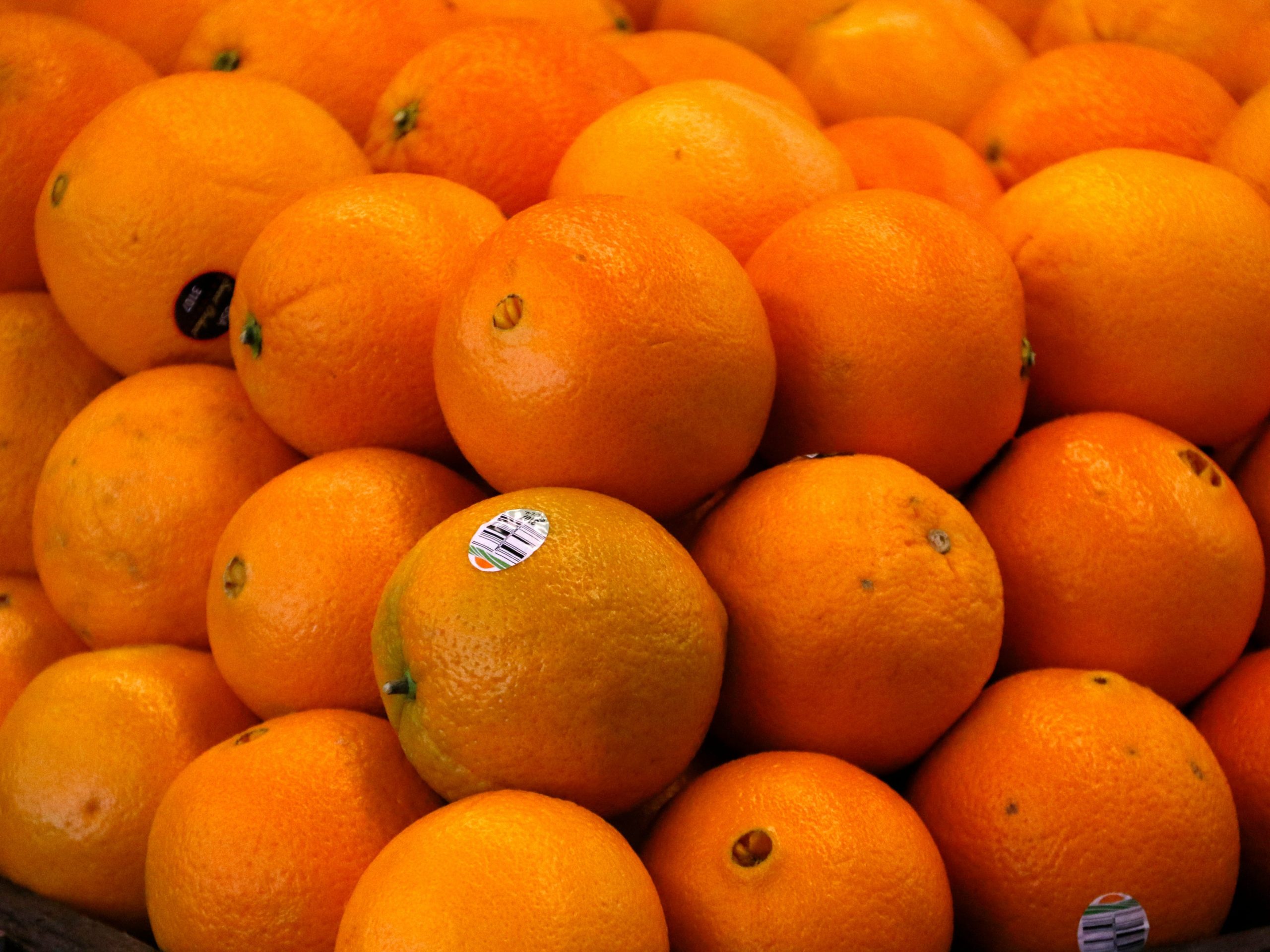 oranges orange fruit citrus