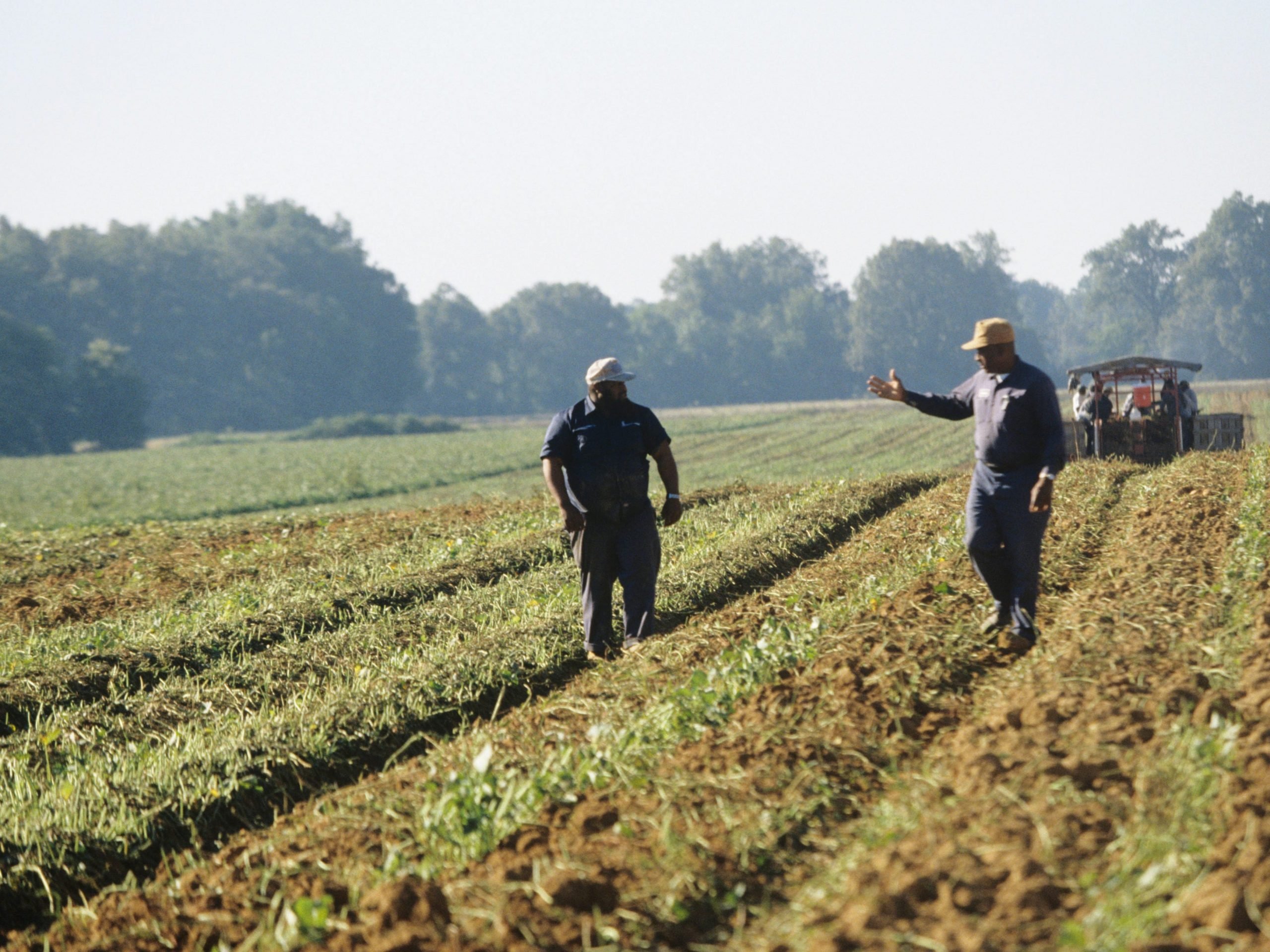 Black farmers in Louisiana