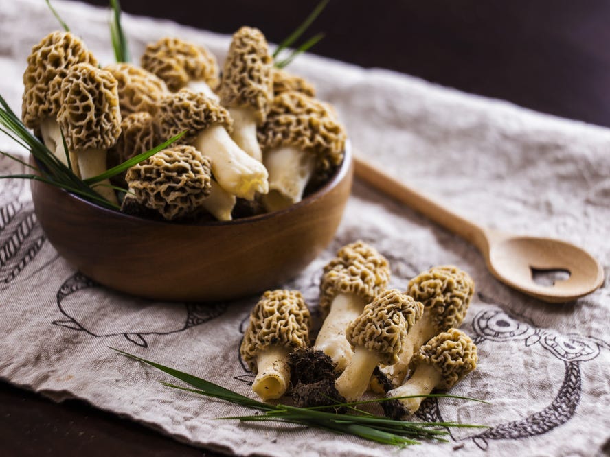 Some morels in a wooden bowl and on top of a cloth.