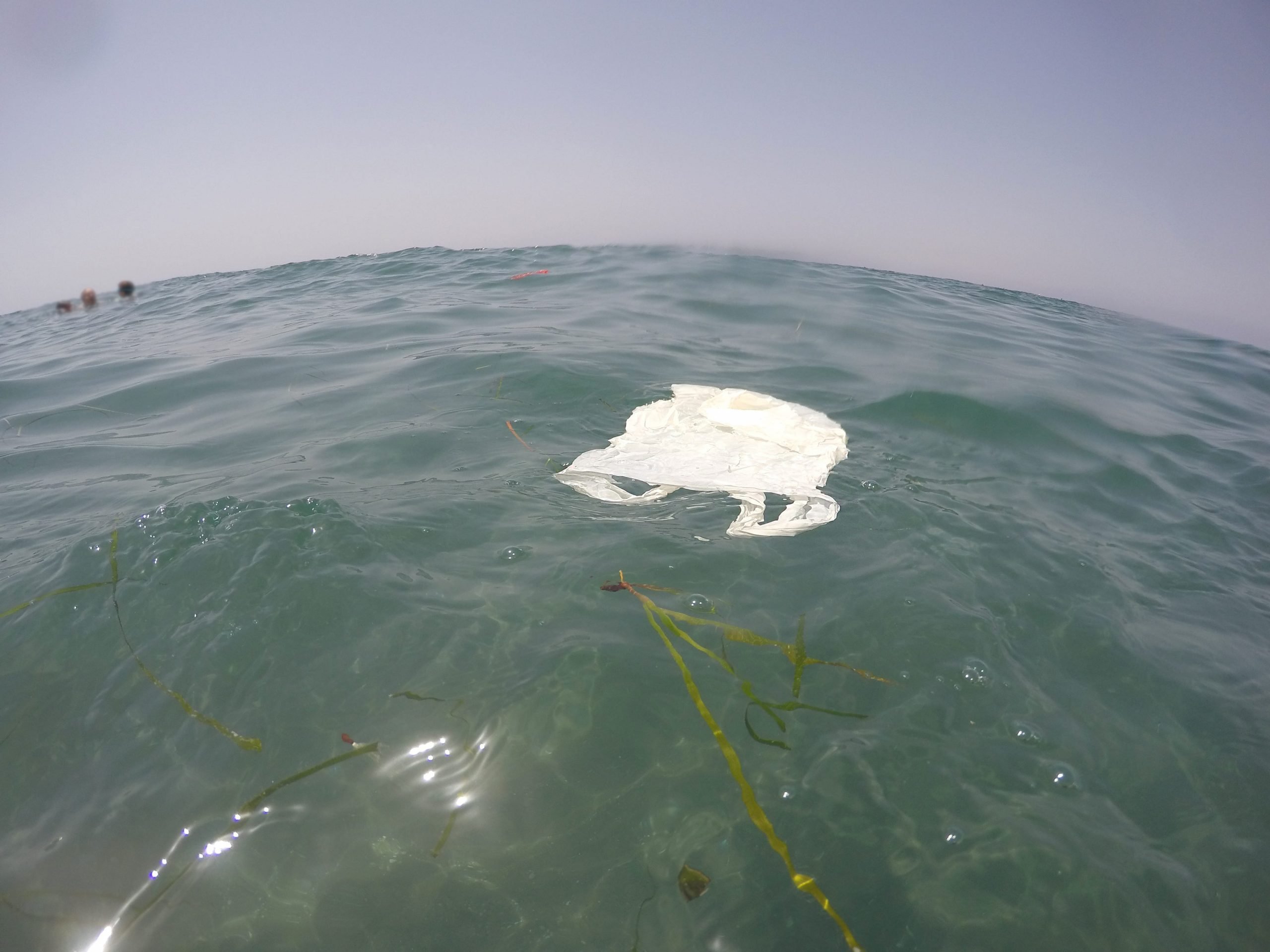 A plastic bag floating in the ocean