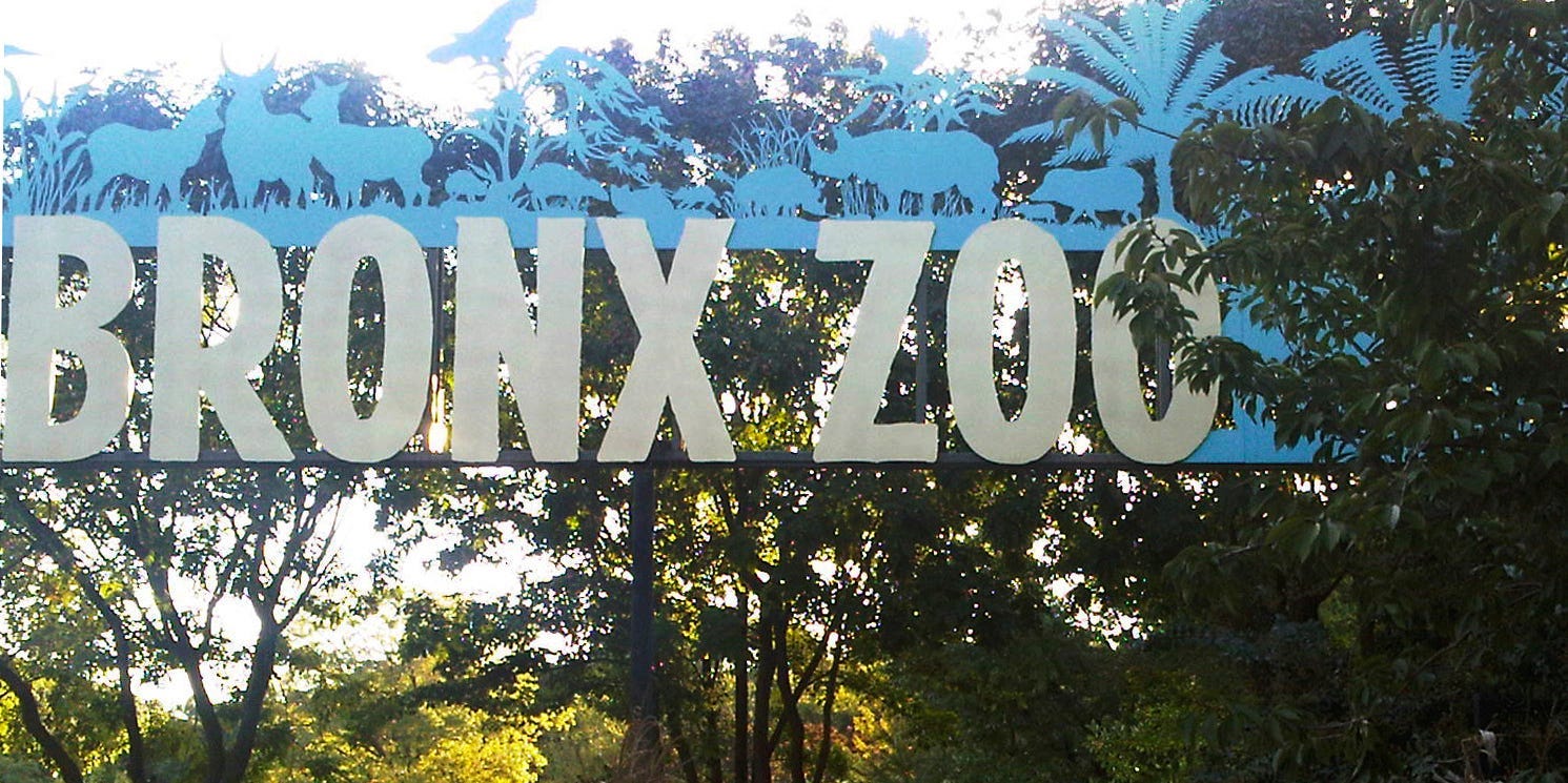 Bronx Zoo