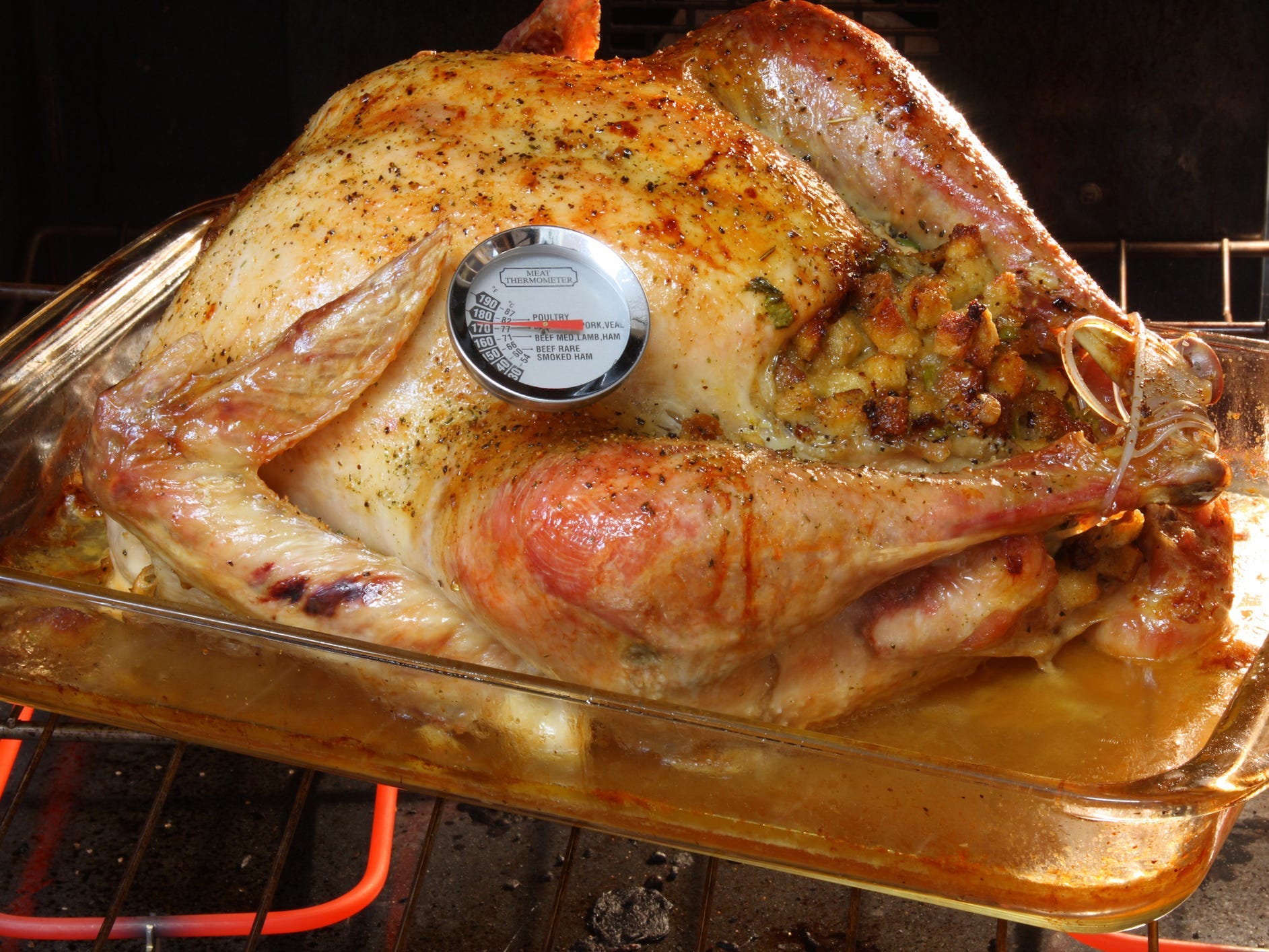 A stuffed turkey in an oven with a meat thermometer inserted into the breast