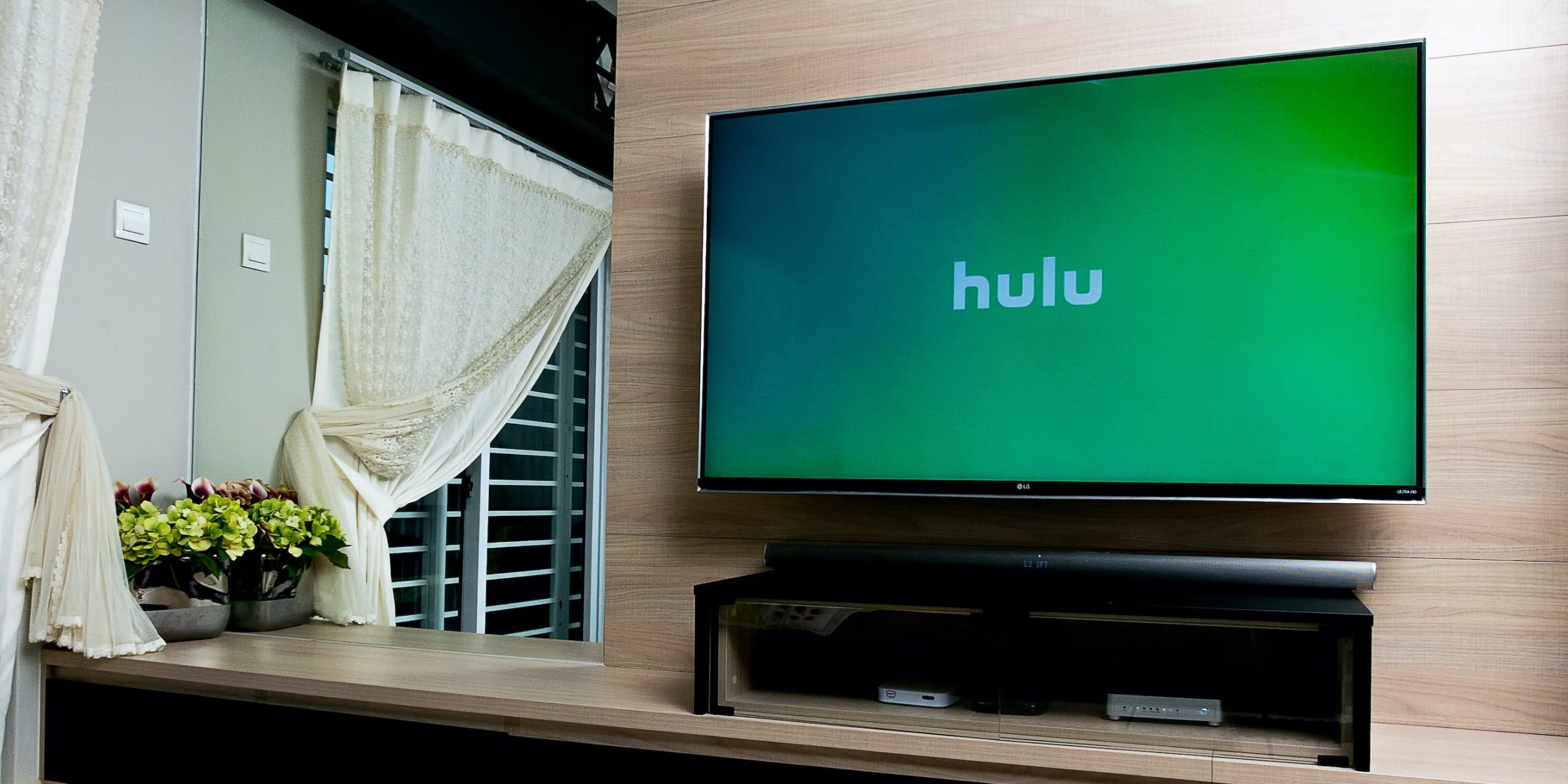 Hulu on TV