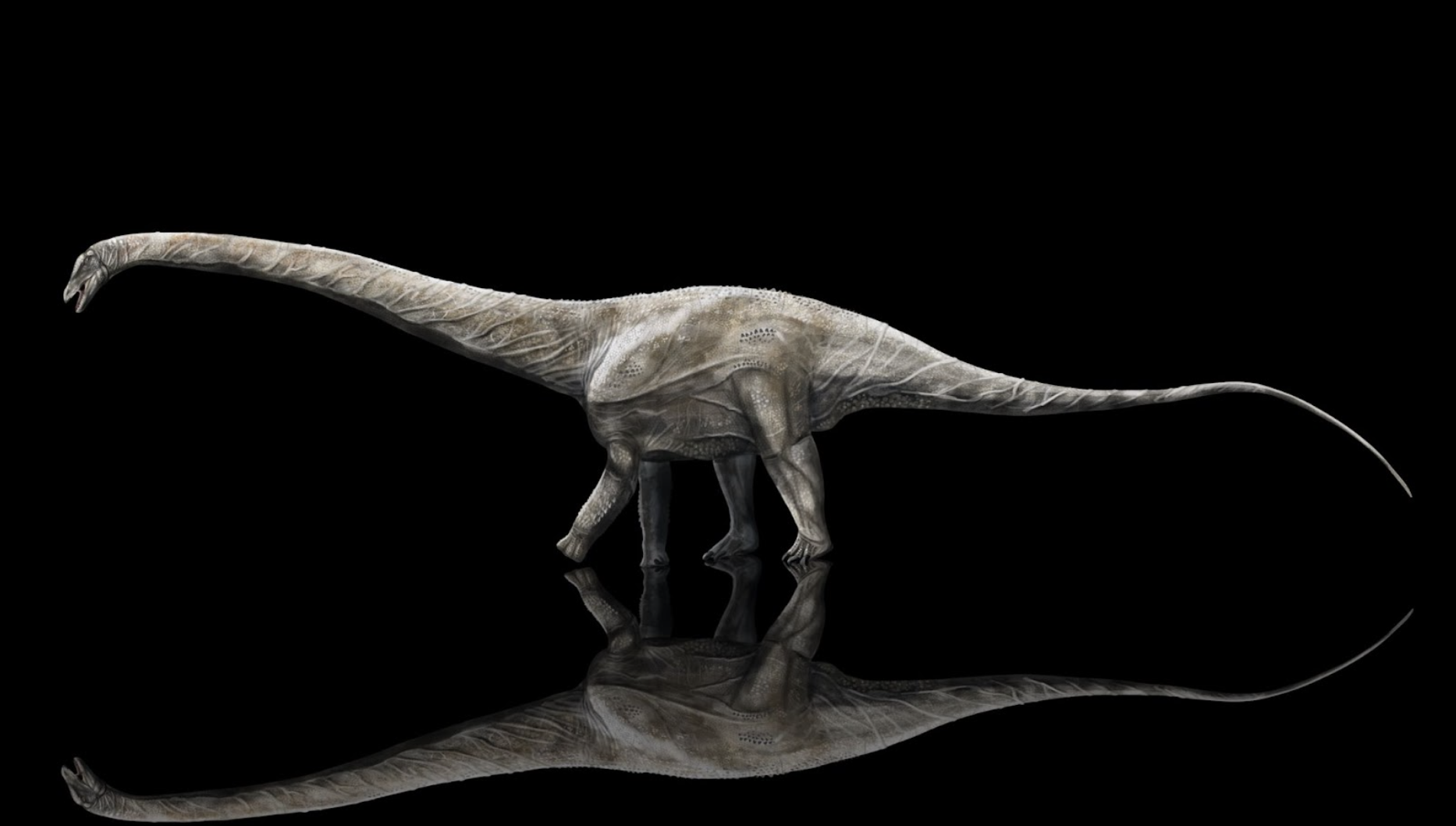 Scientists Crowned The World's Longest Dinosaur — A Supersaurus Longer ...