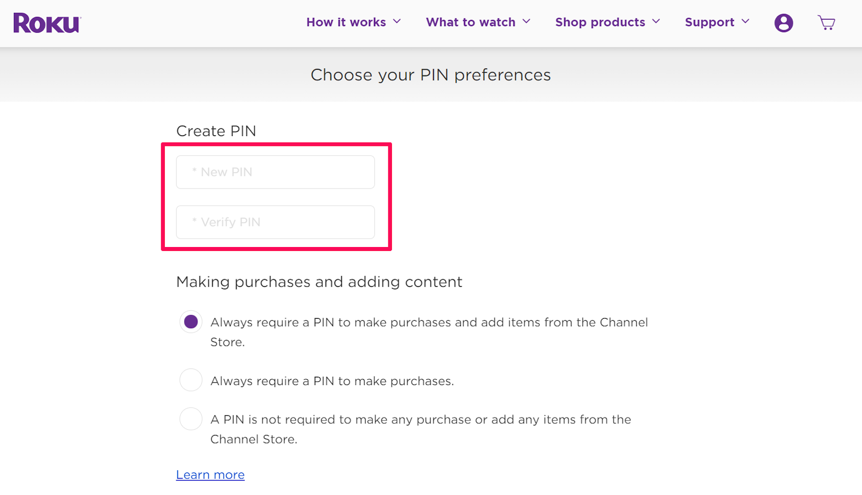 Screenshot of update PIN section on Roku website