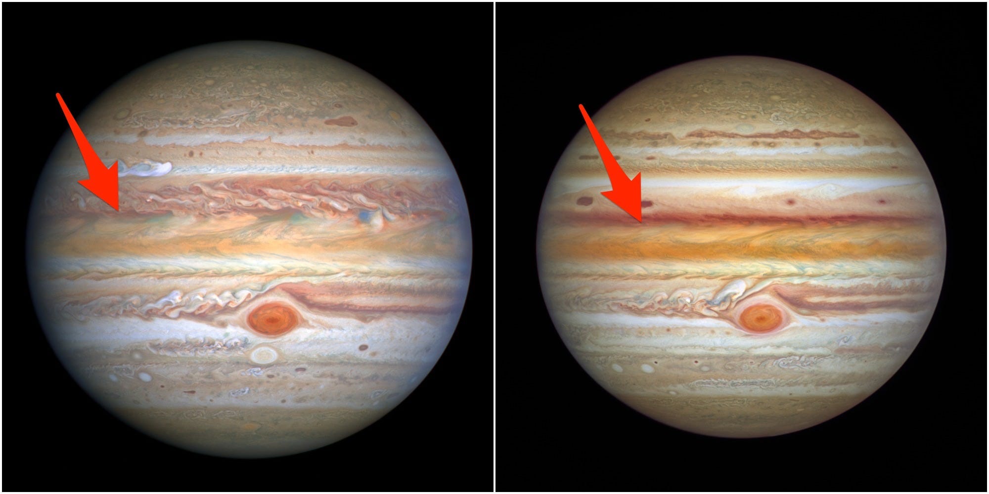 Side by side pictures of Jupiter taken in 2020 and 2021. Arrows indicate the equatorial zone.