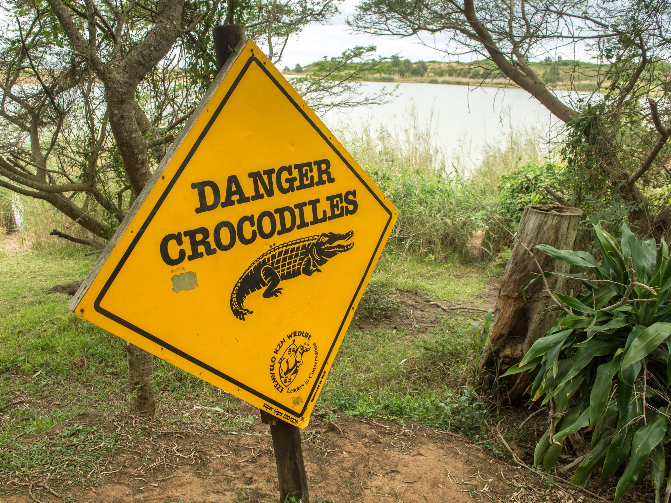 Crocodile danger warning sign