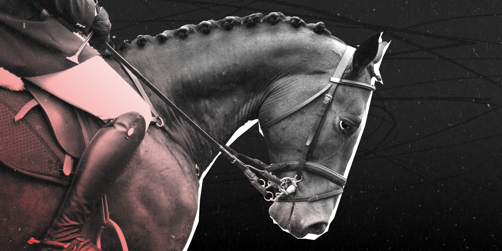 Injured purebred show jumping horse with the rider, representing Modern pentathlon's history of problems