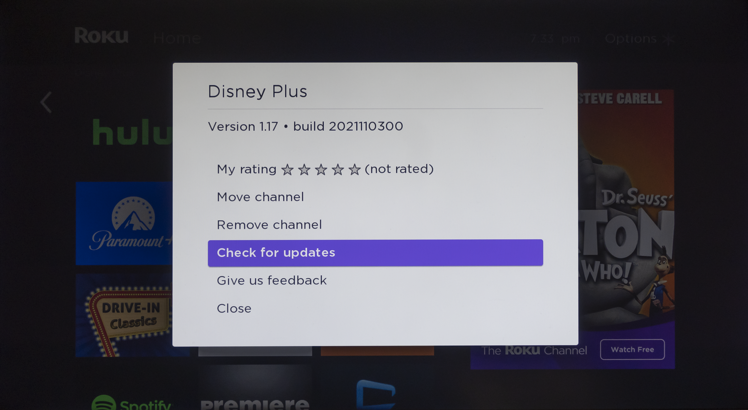 Screenshot of More Options menu on Roku