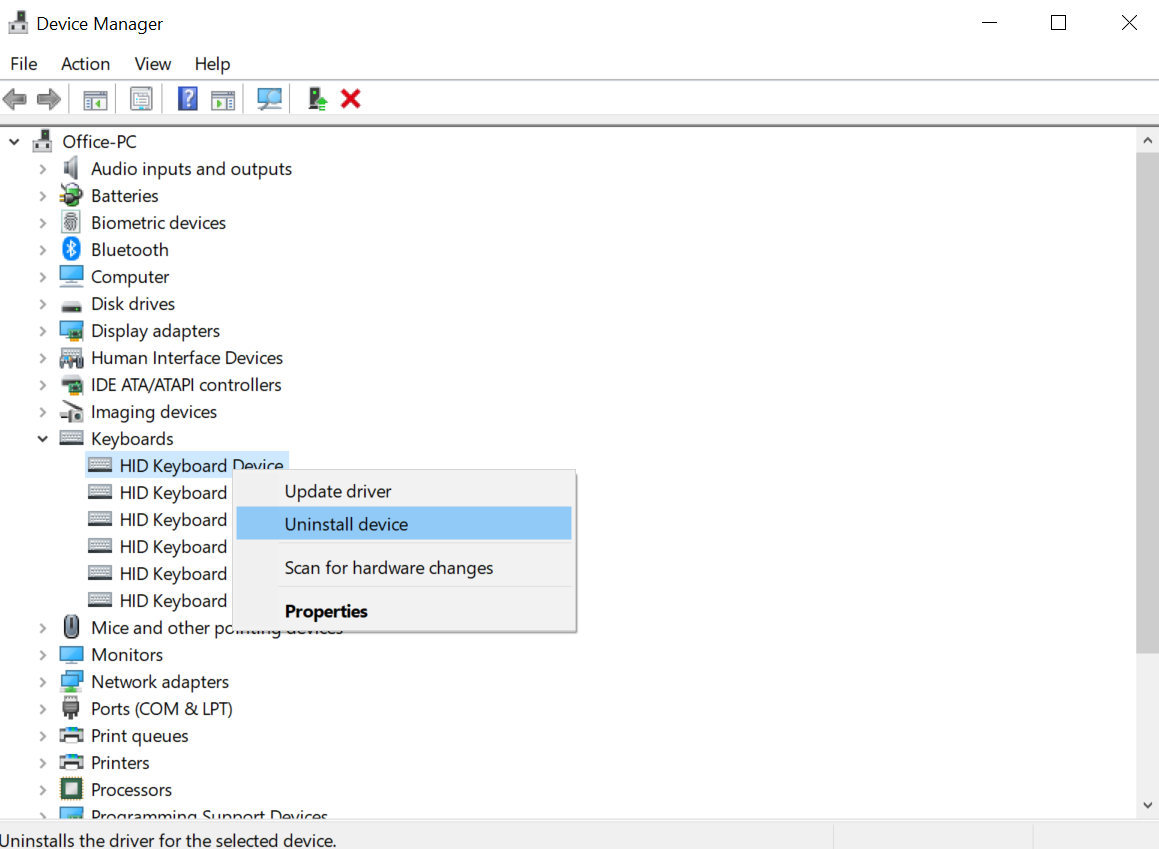 Keyboard device driver settings in Windows.