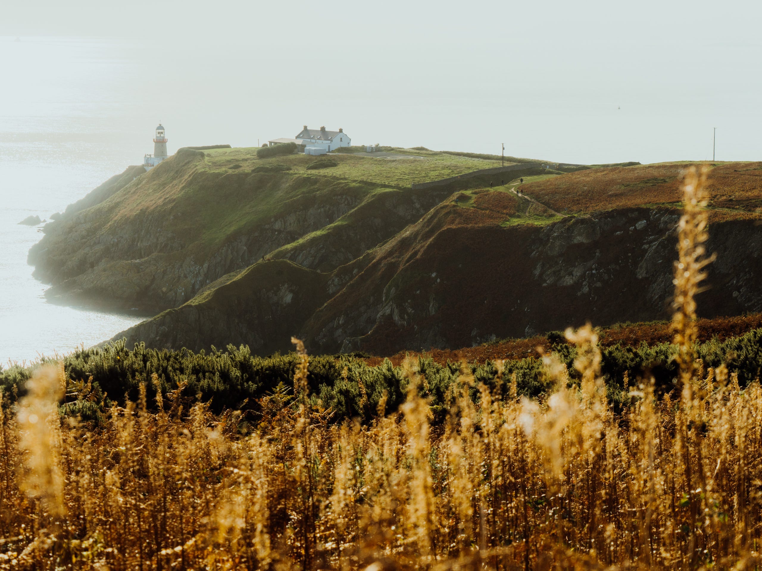 A view of the Howth Cliff trail in Dublin, Ireland.