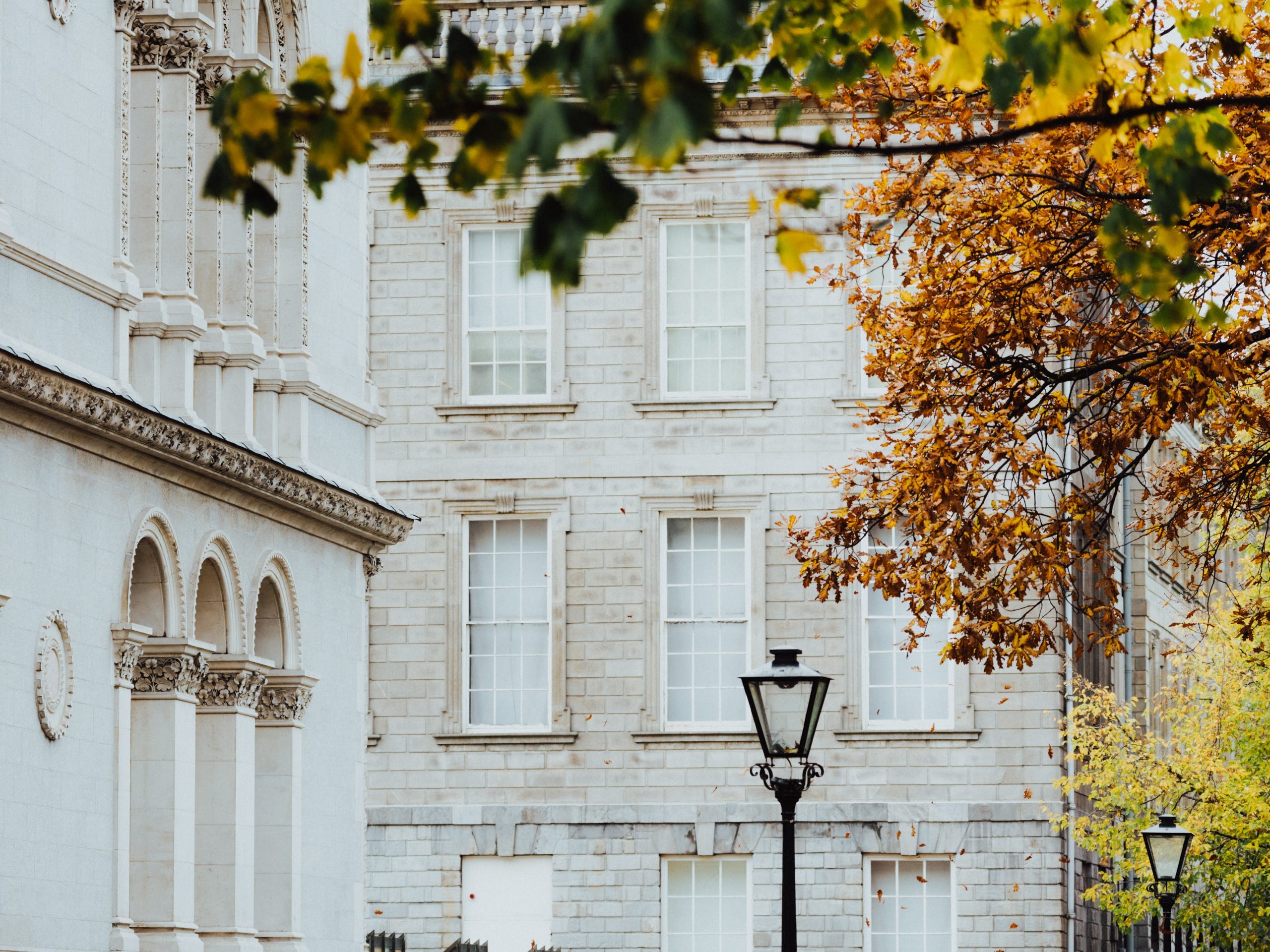 The outside of Trinity College with foliage in Dublin, Ireland.