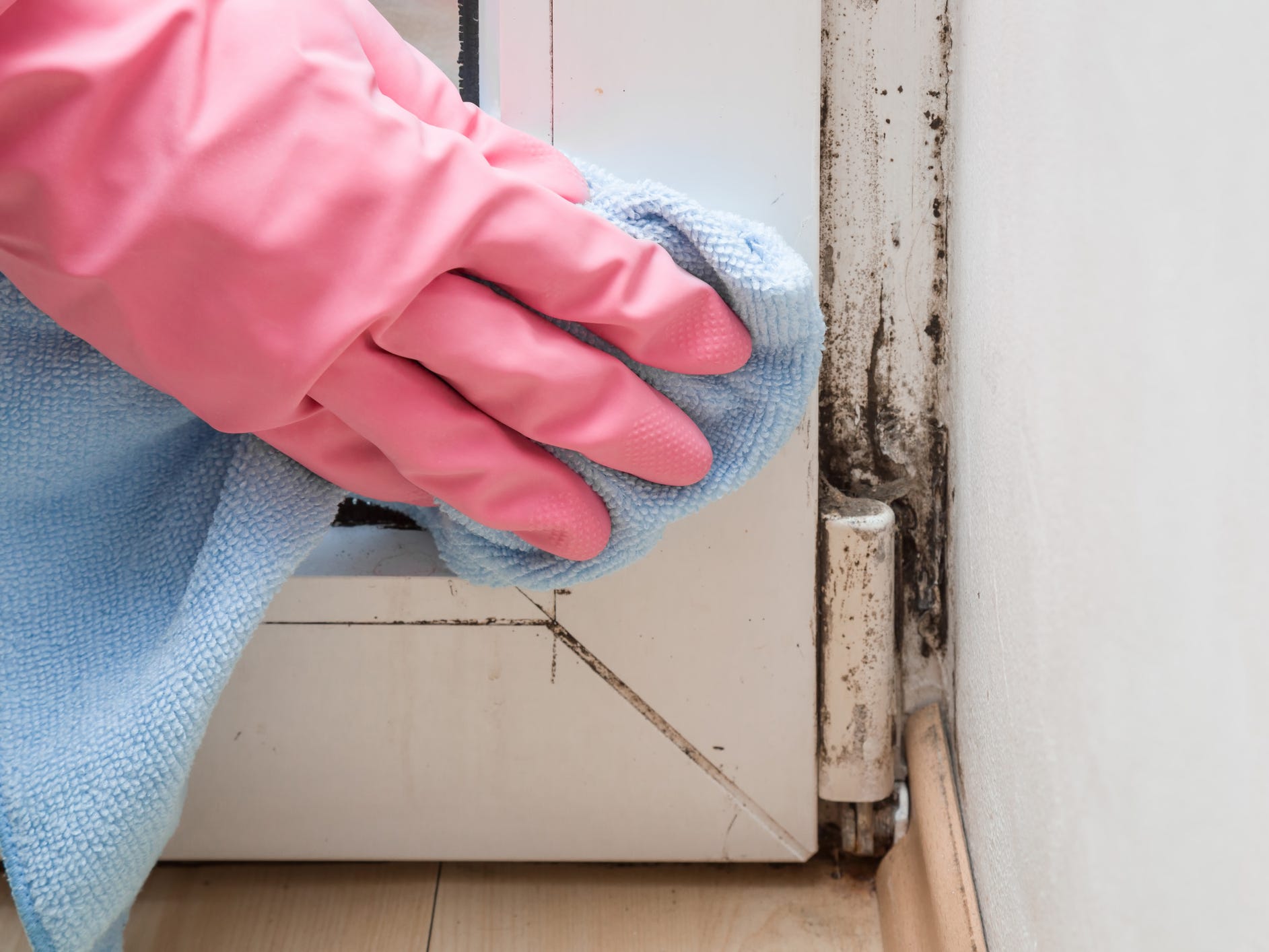 A gloved hand using a rag to clean mildew