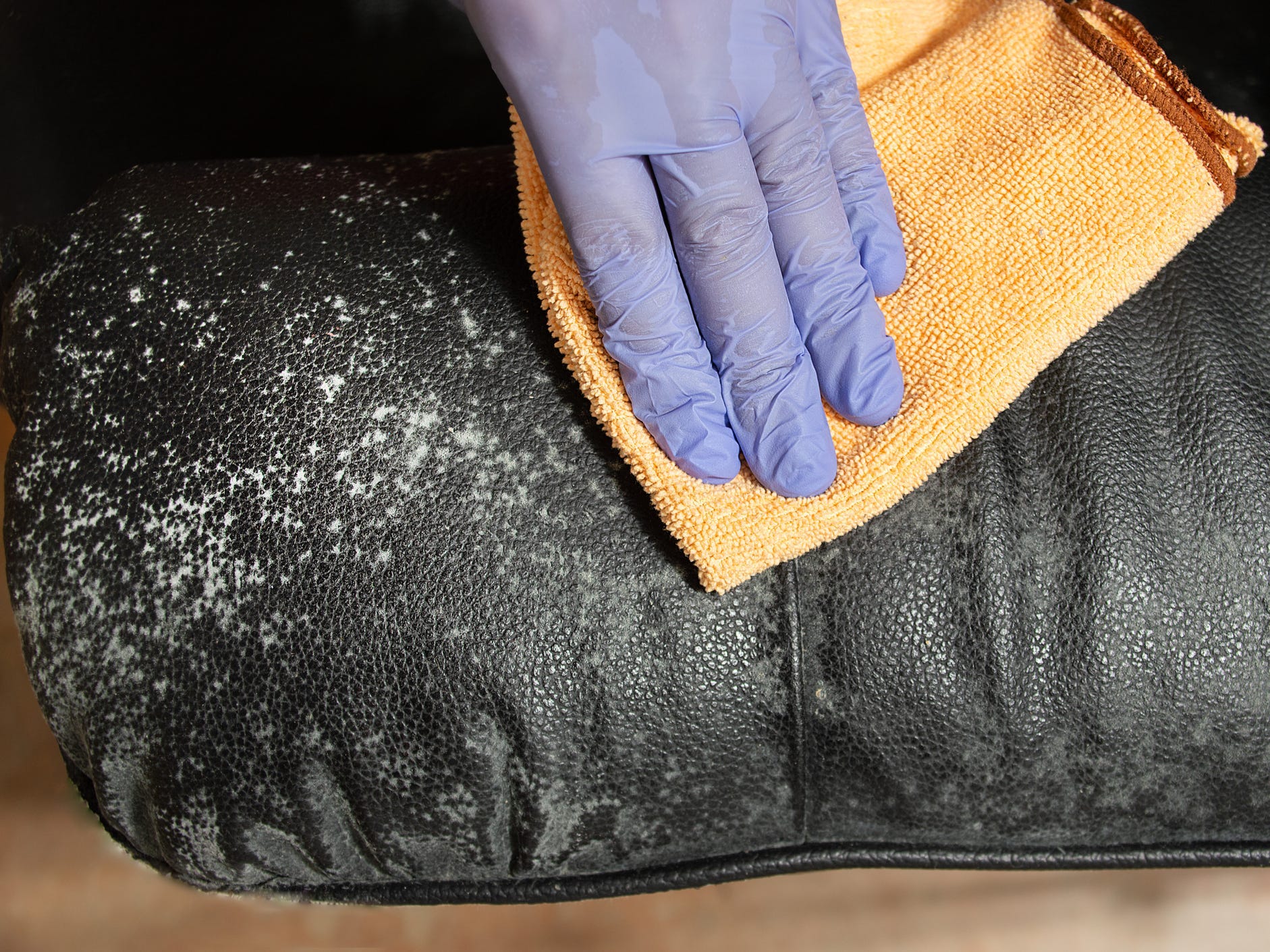 A gloved hand using a rag to clean mildew off a leather couch