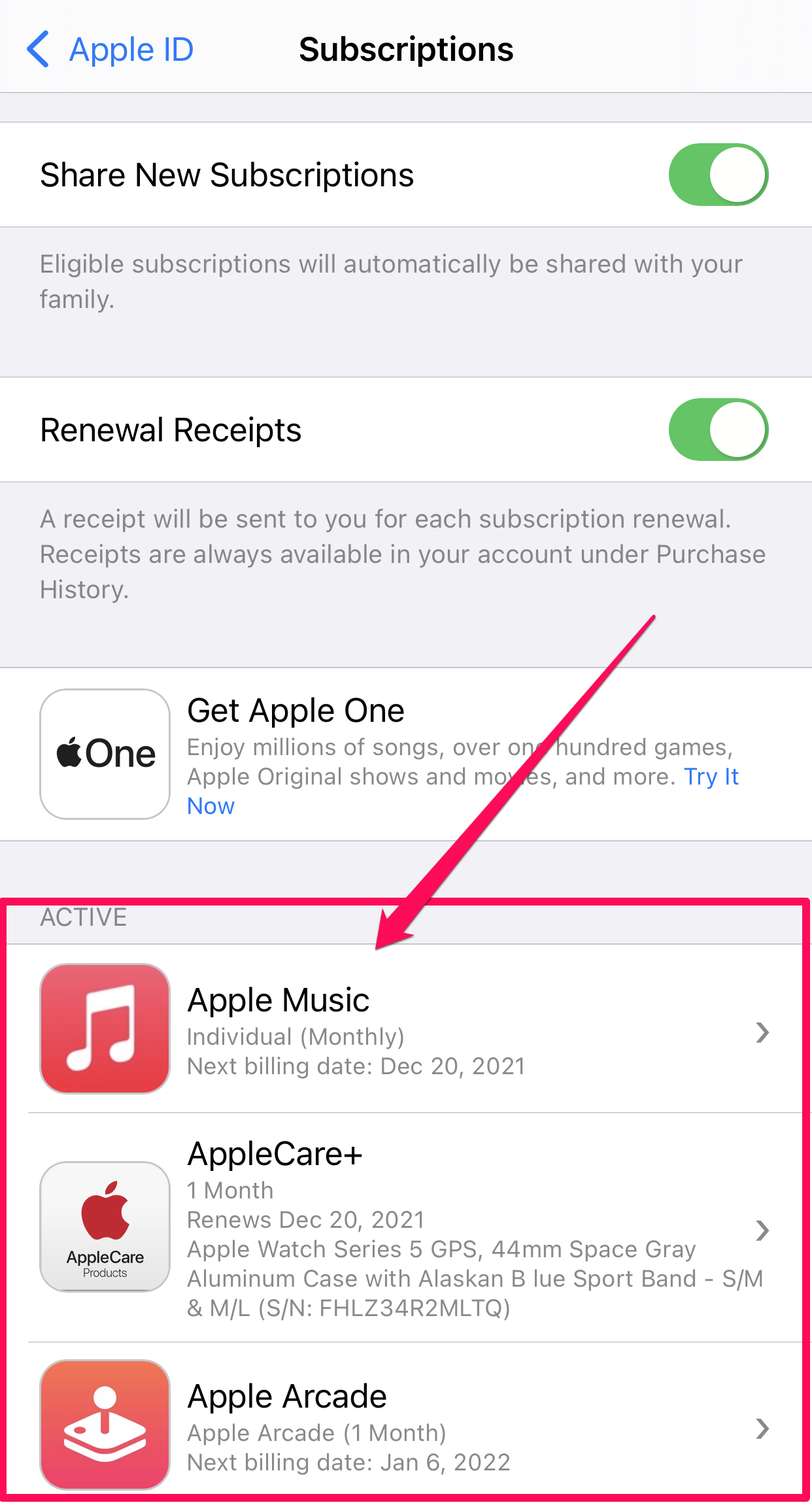 Settings app on iPhone.