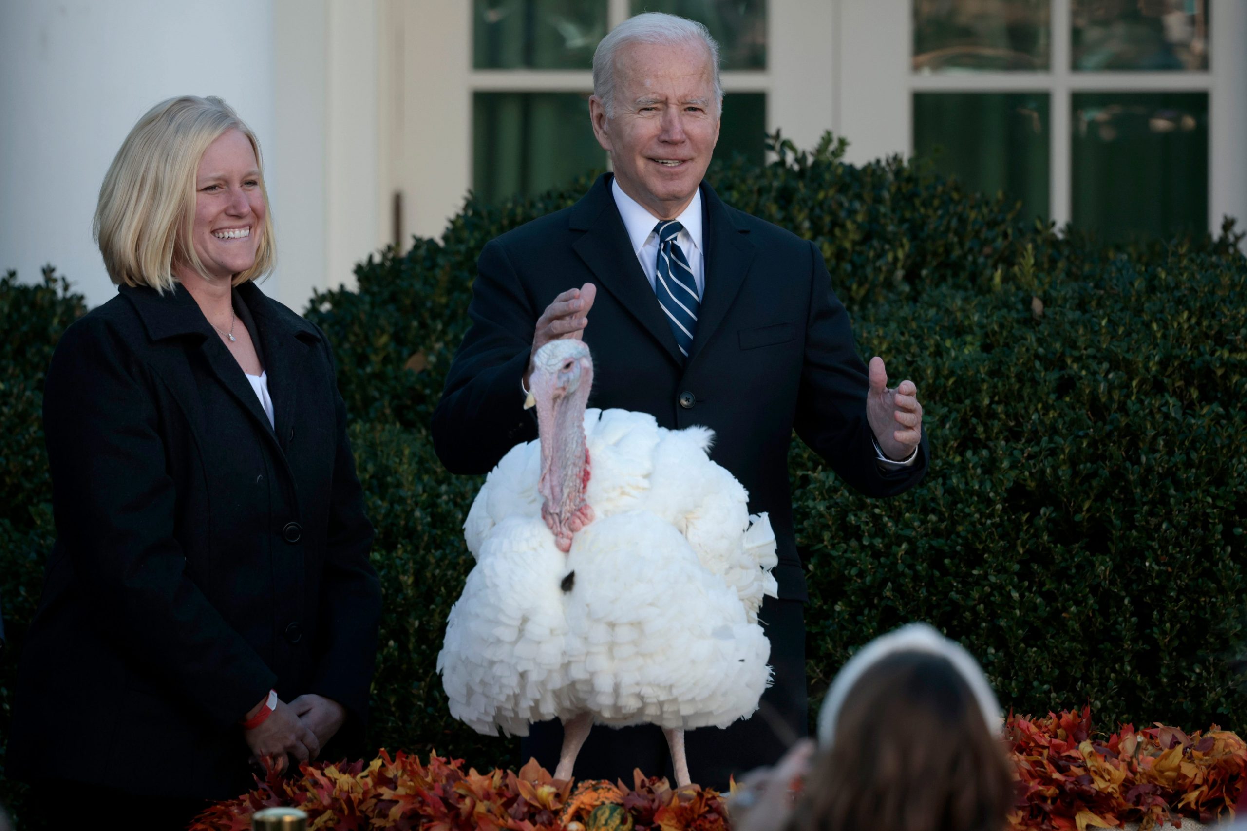 U.S. President Joe Biden pardons Peanut Butter the turkey during the 74th annual Thanksgiving turkey pardoning in the Rose Garden of the White House on November 19, 2021 in Washington, DC.