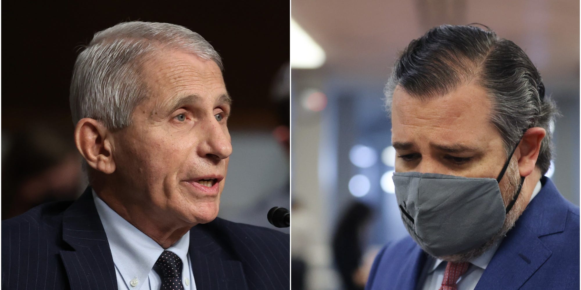 Dr. Anthony Fauci and Republican Sen. Ted Cruz of Texas.