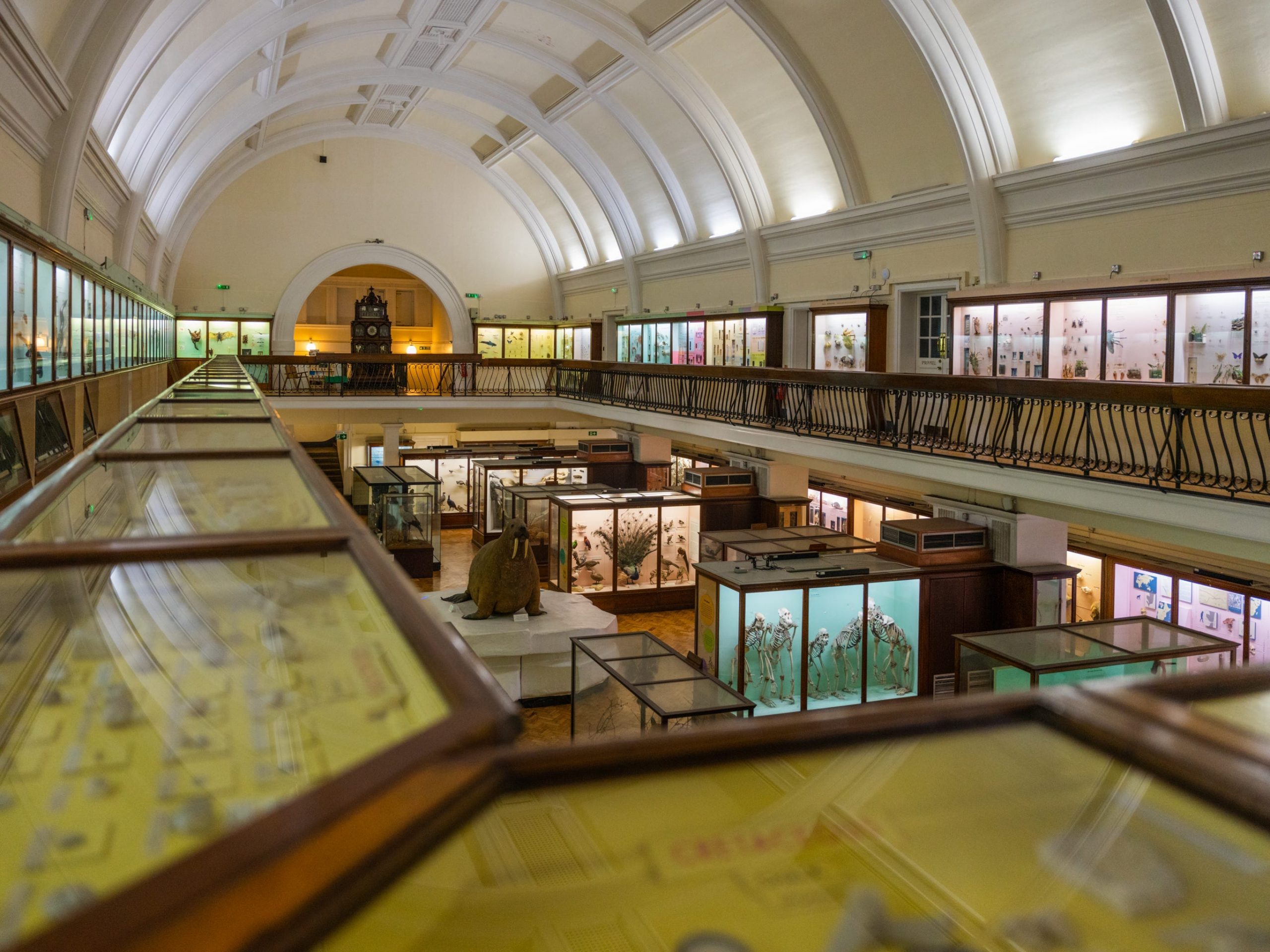 Looking over the exhibits at the Horniman Museum in London.