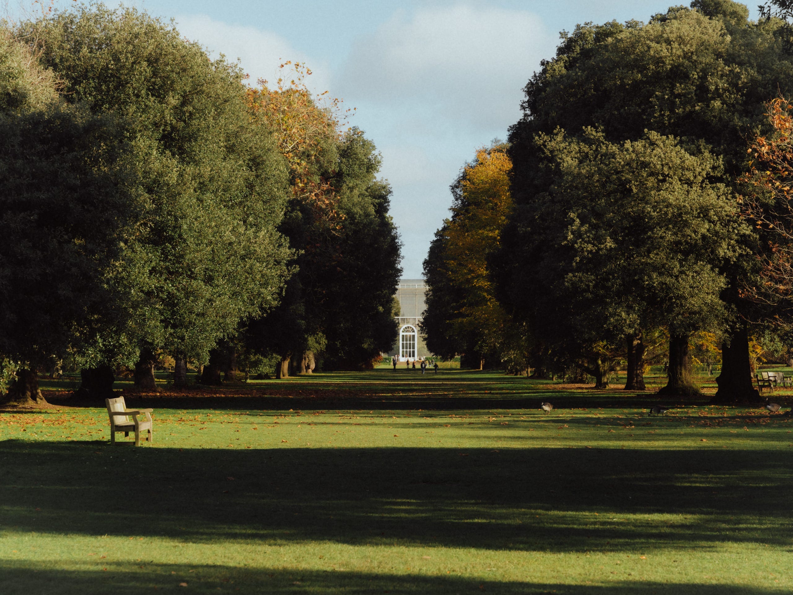 A park inside the Royal Botanic Gardens in Kew, London.