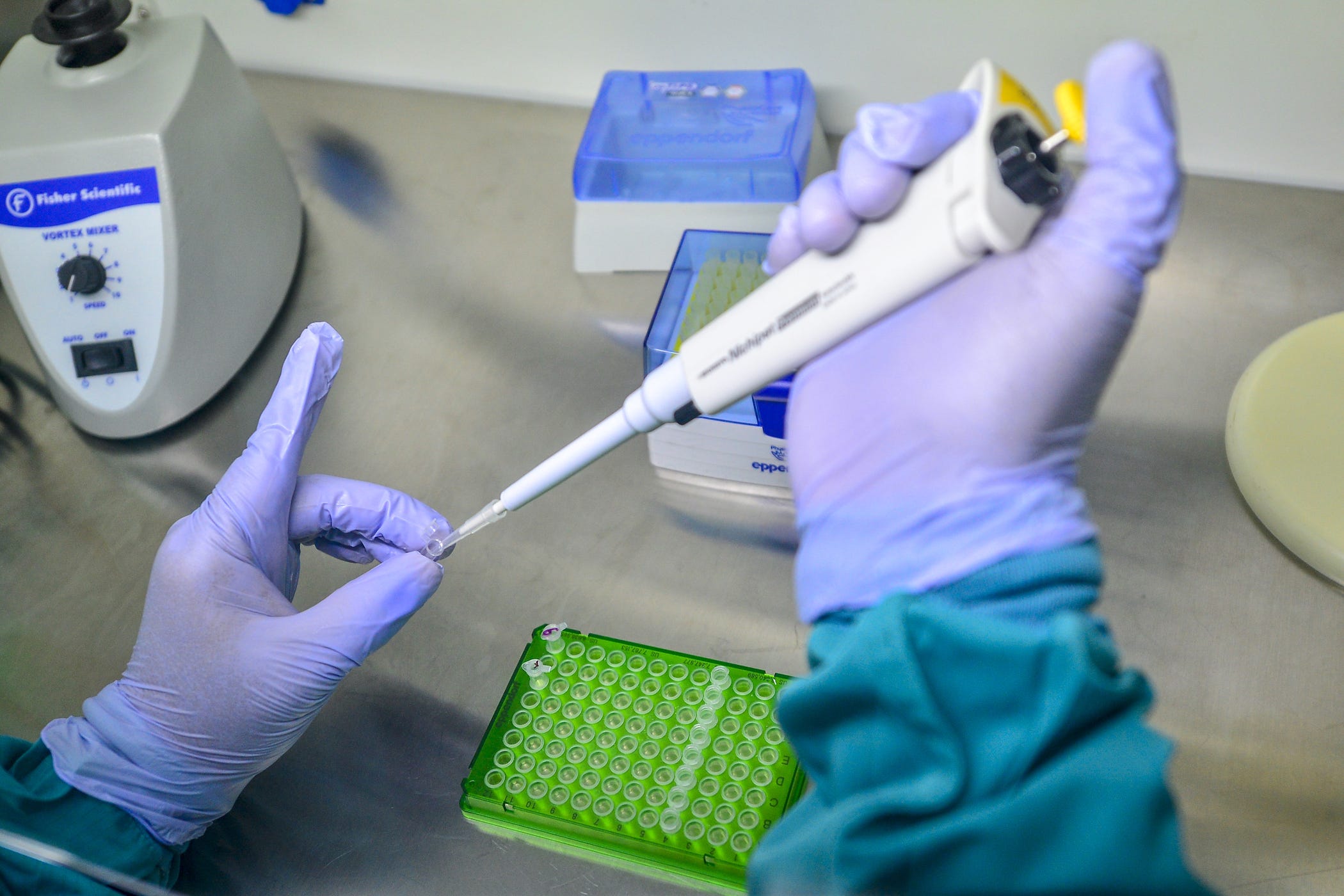a man using a pipette to genetic sequence a coronavirus sample
