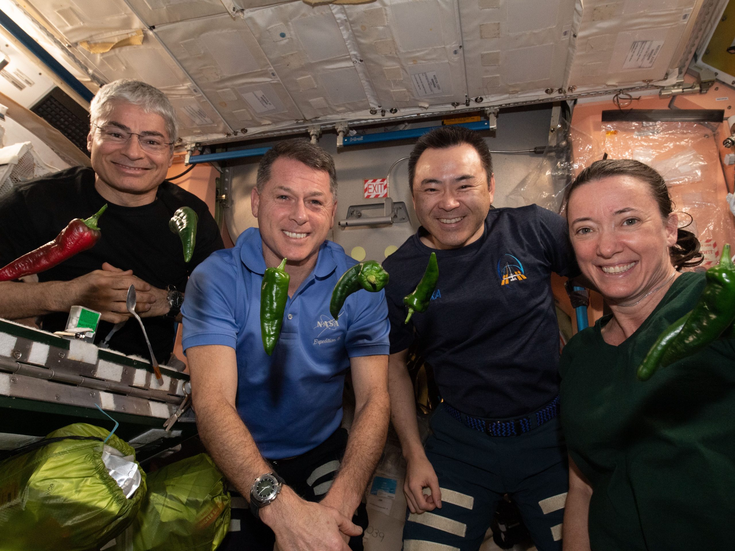 NASA astronauts chile pepper experiment