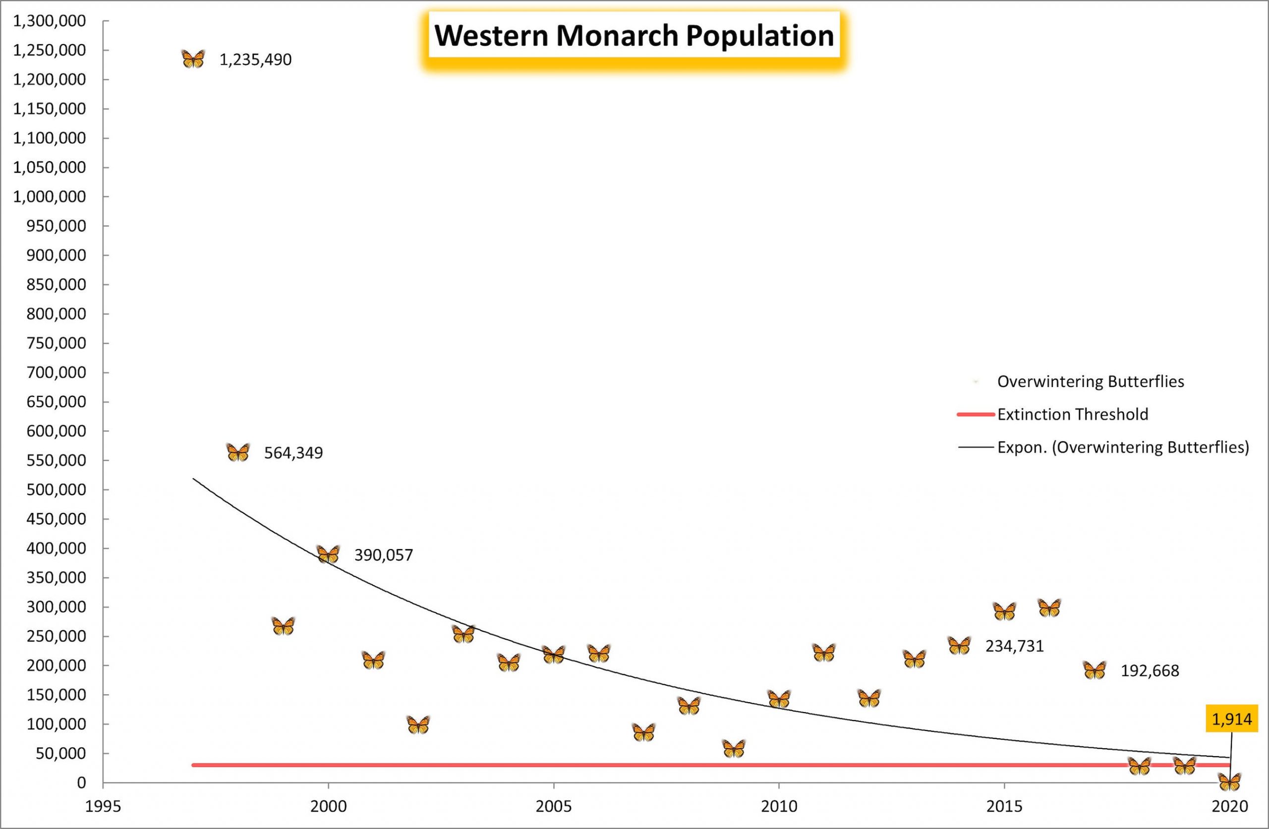 graph shows declining population of western monarch butterflies