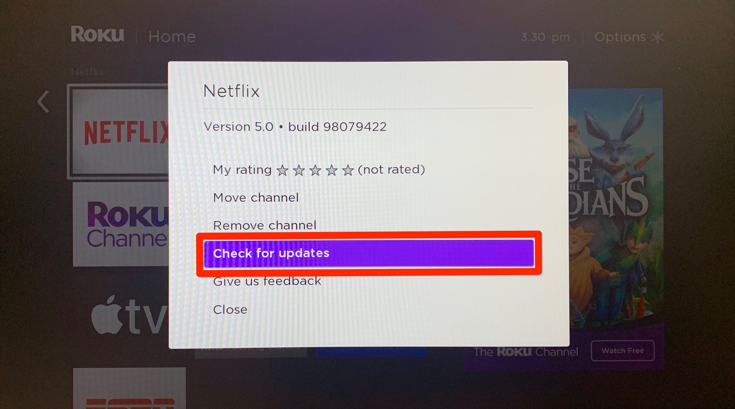 The information panel for the Netflix Roku app.