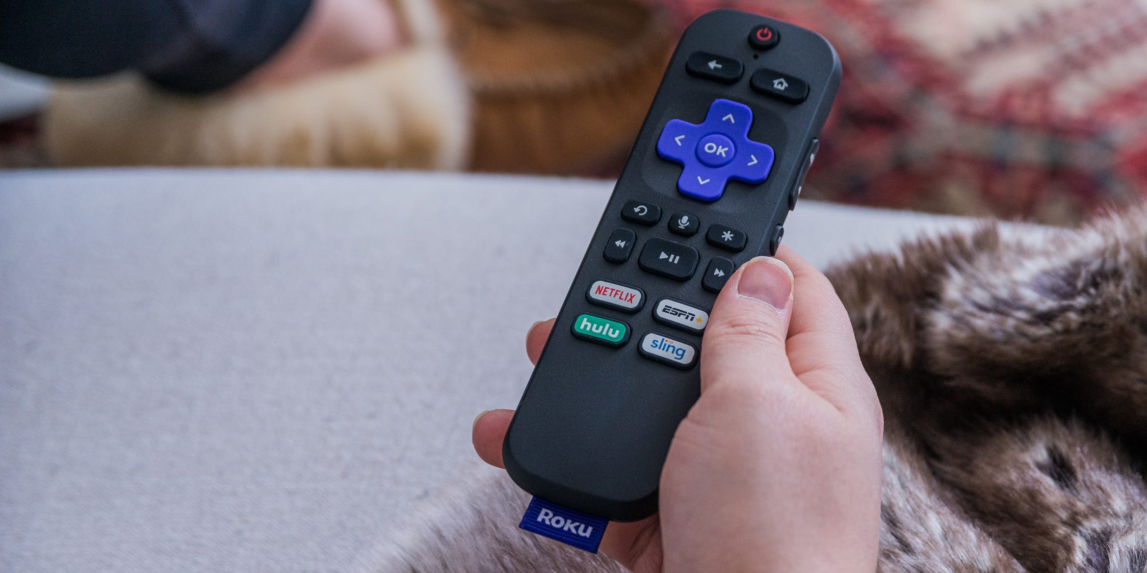 Roku remote