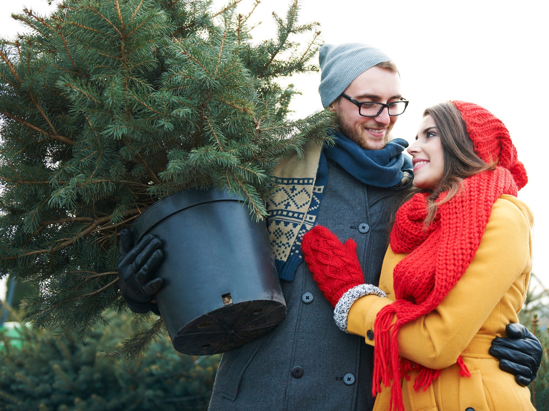 A man holding a potted Christmas tree in one arm and hugging his partner with the other