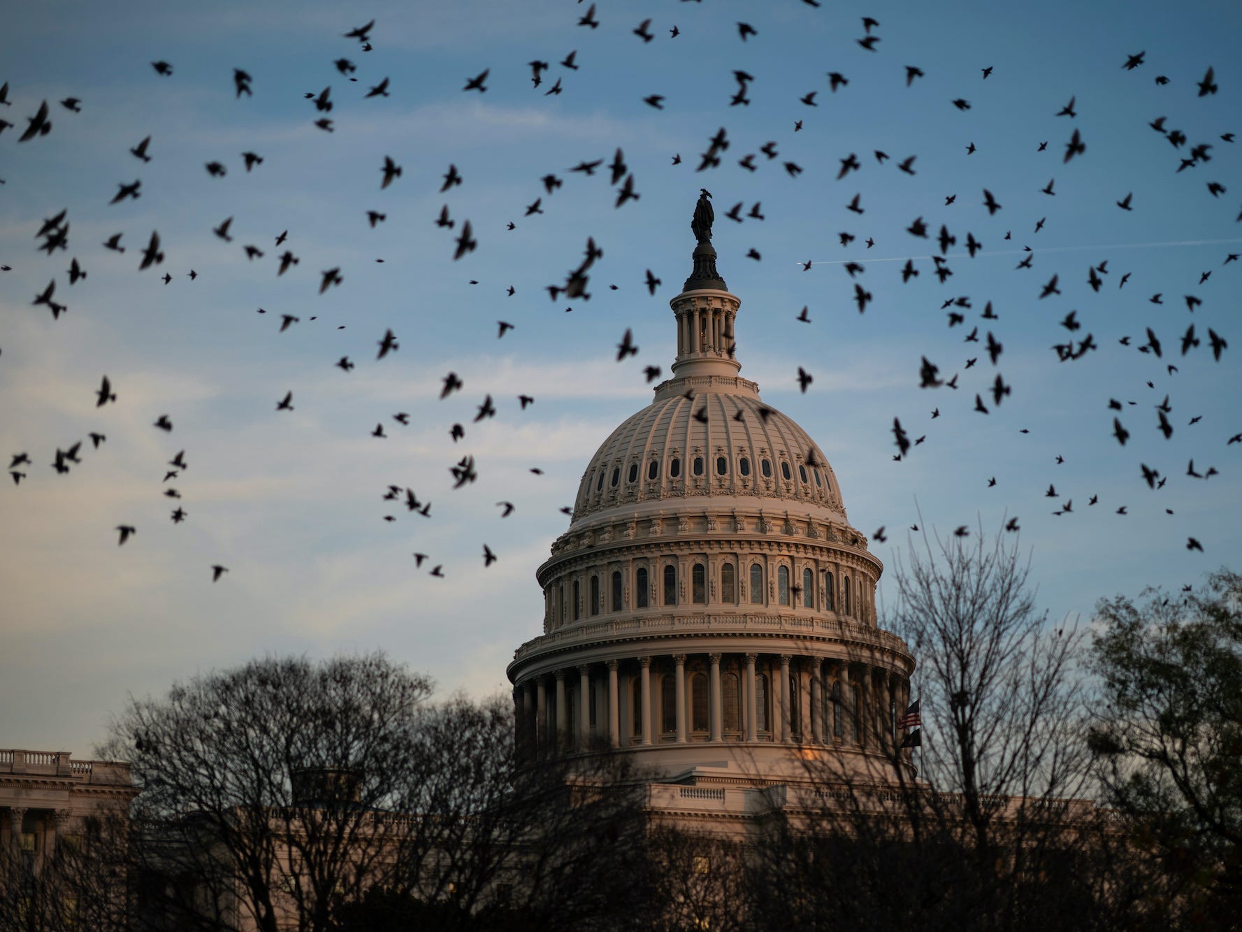 A flock of birds flies near the U.S. Capitol at dusk on December 2, 2021 in Washington, DC. With a deadline at midnight on Friday, Congressional leaders are working to pass a continuing resolution to fund the government and avoid a government shutdown.