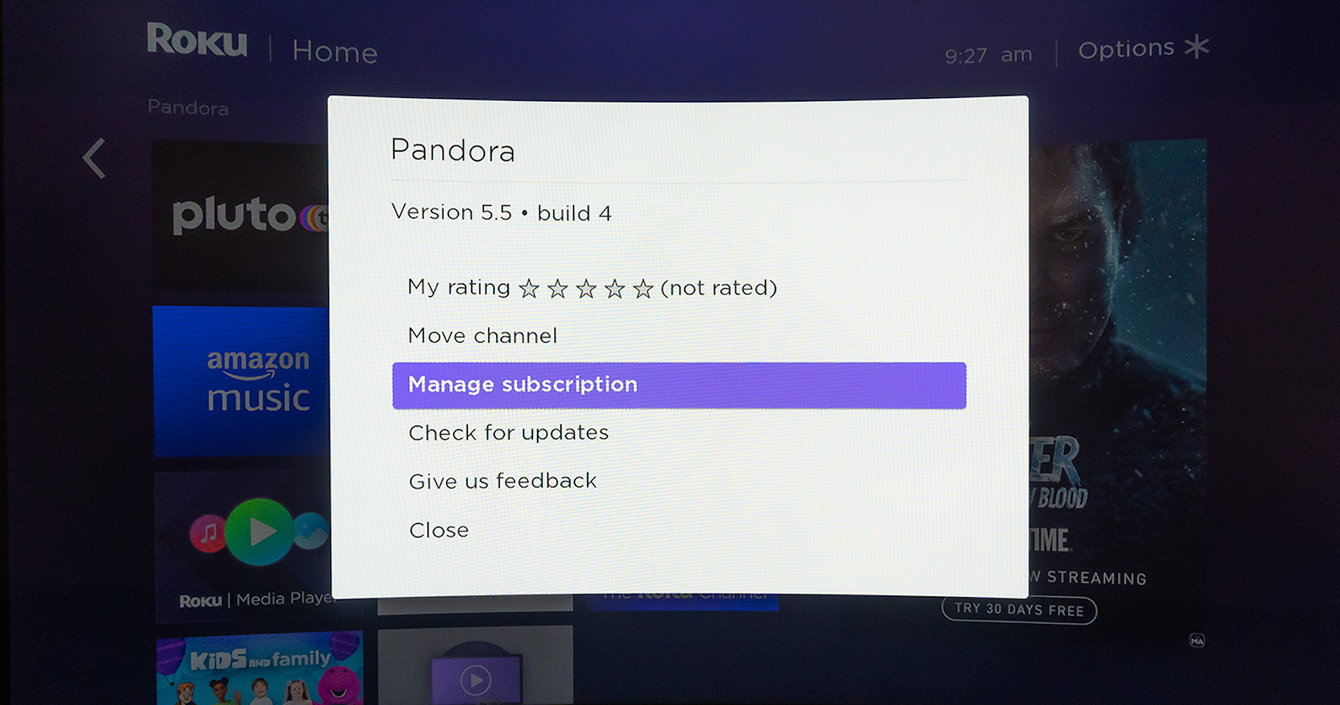 Screenshot of the Manage subscription button on Roku