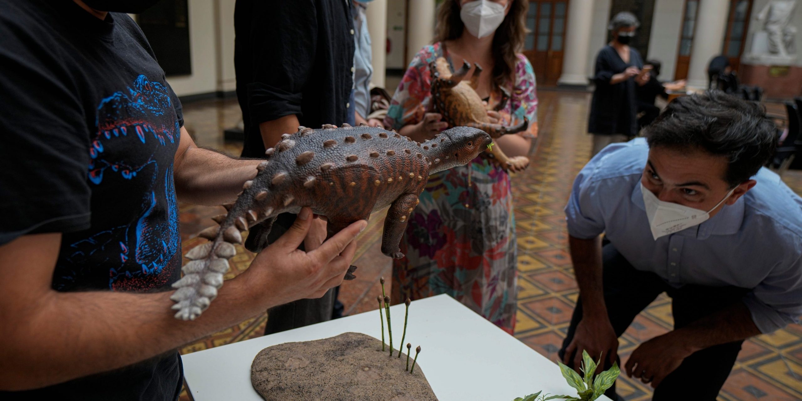 A model of the stegouros elengassen, a newly identified armored dinosaur that inhabited the Chilean Patagonia, is displayed during a press conference in Santiago, Chile, Wednesday, Dec. 1, 2021.