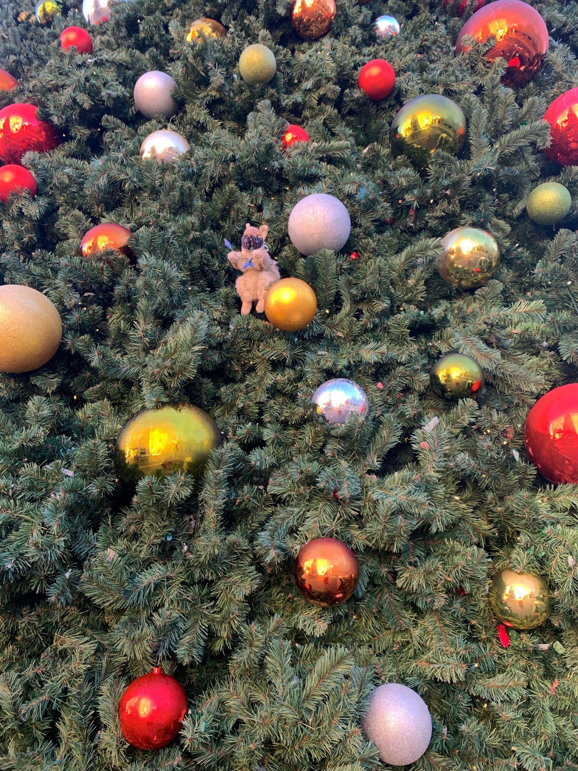 Earl the Squirrel among a bunch of ornaments on a tree.