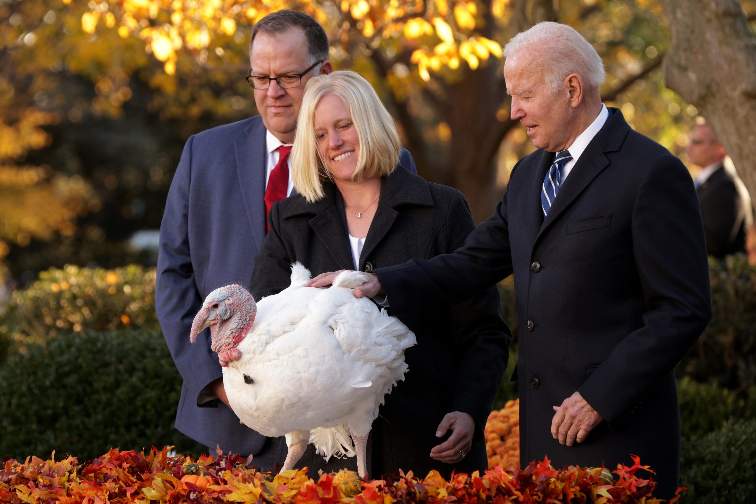 Biden petting a turkey