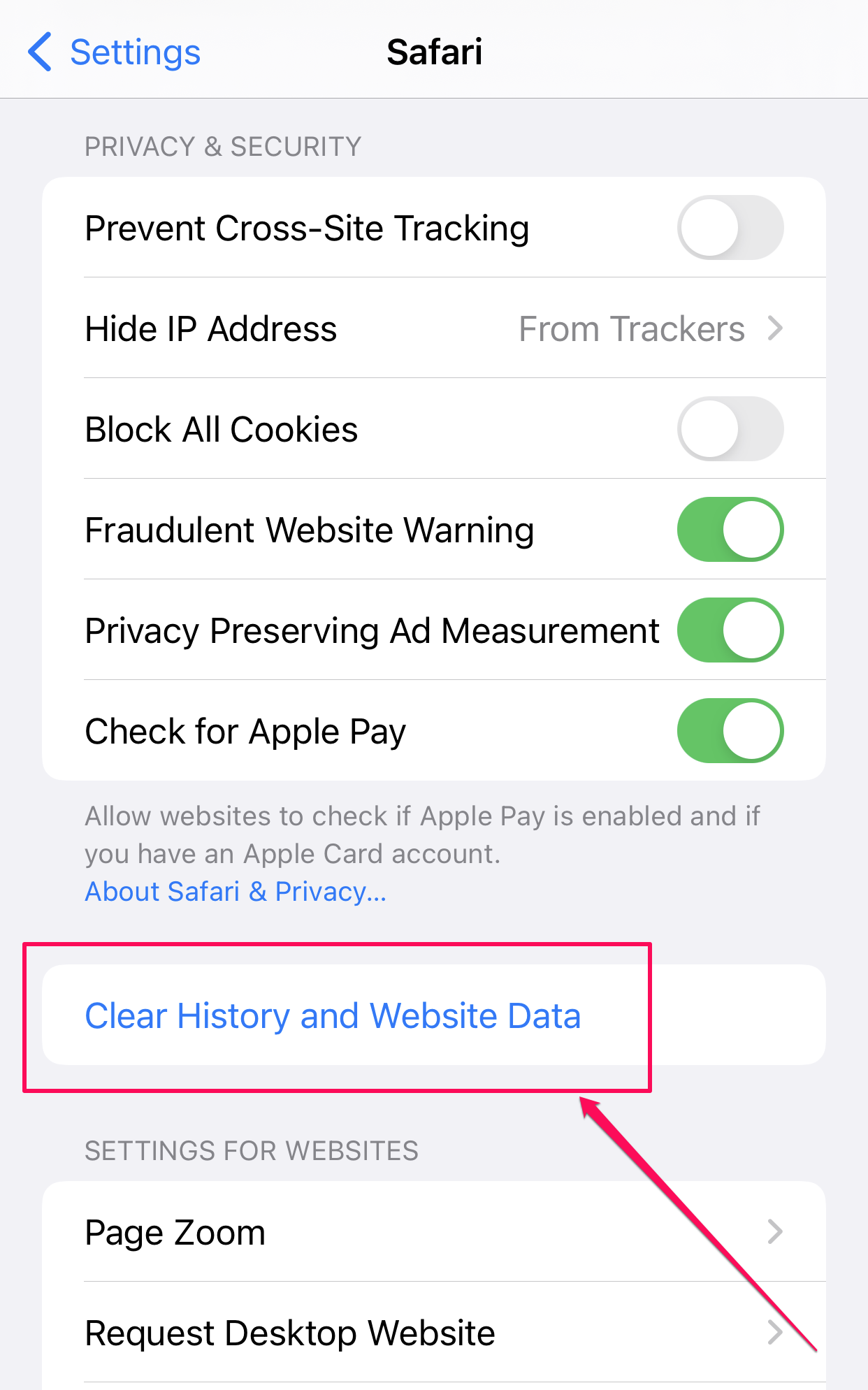 The Safari settings on the Settings app on iPhone.