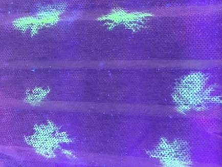 A demonstration of how the antibody spray coupled with a mask filter shows traces of COVID-19 when held under UV light.