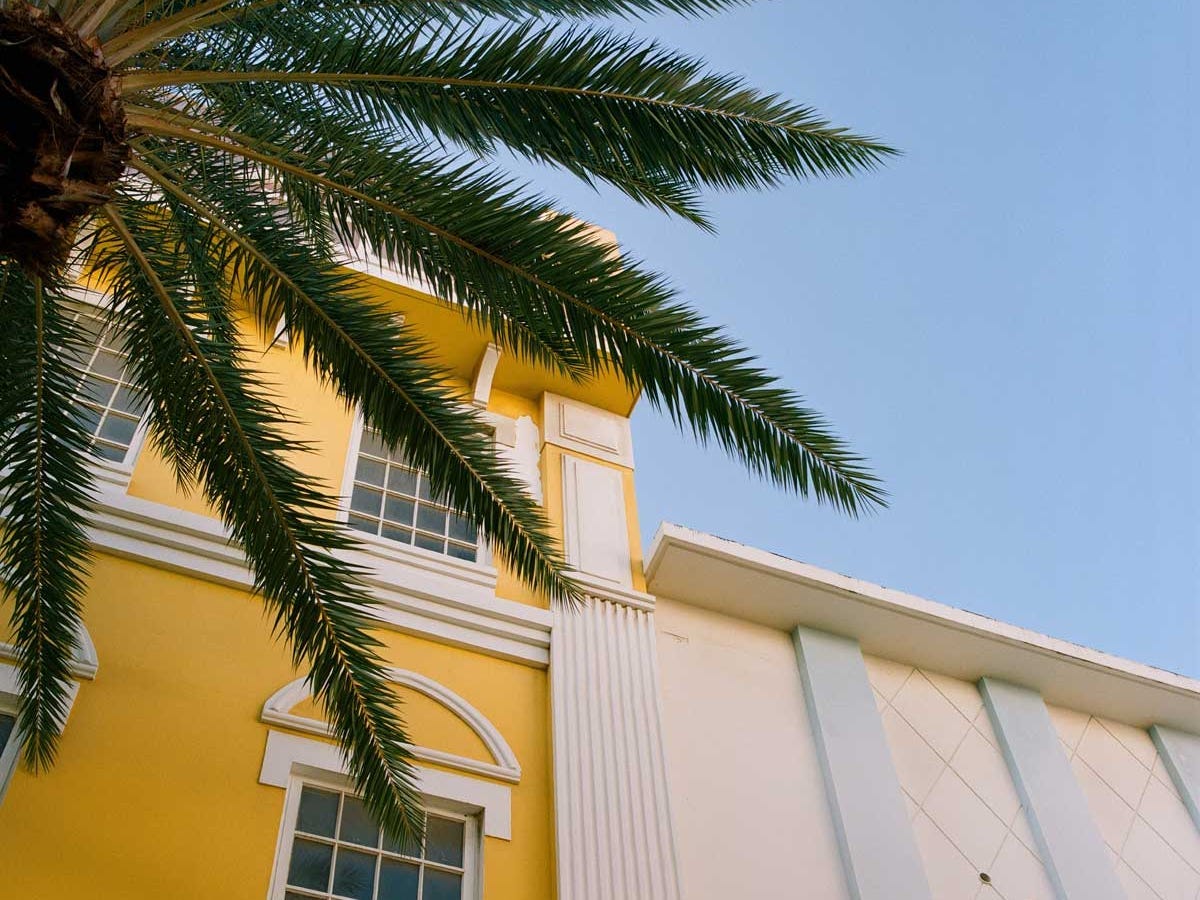 Looking up at a building, tree, and the sky in downtown Oranjestad in Aruba.