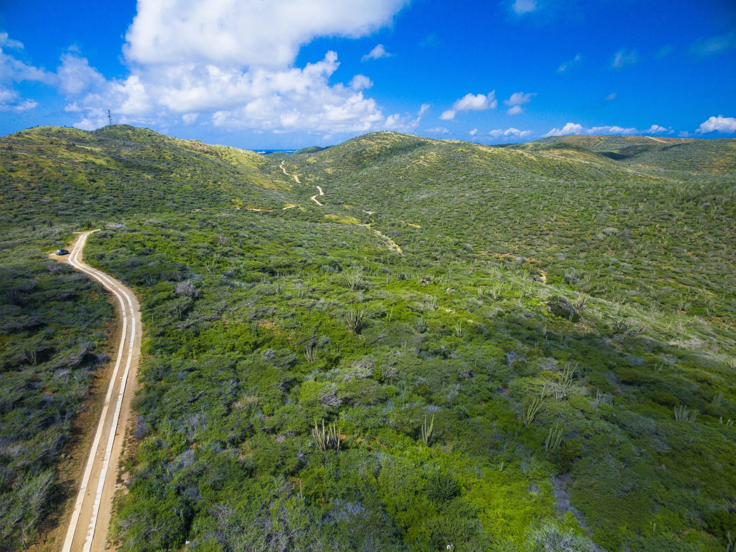 A road going through Arikok National Park