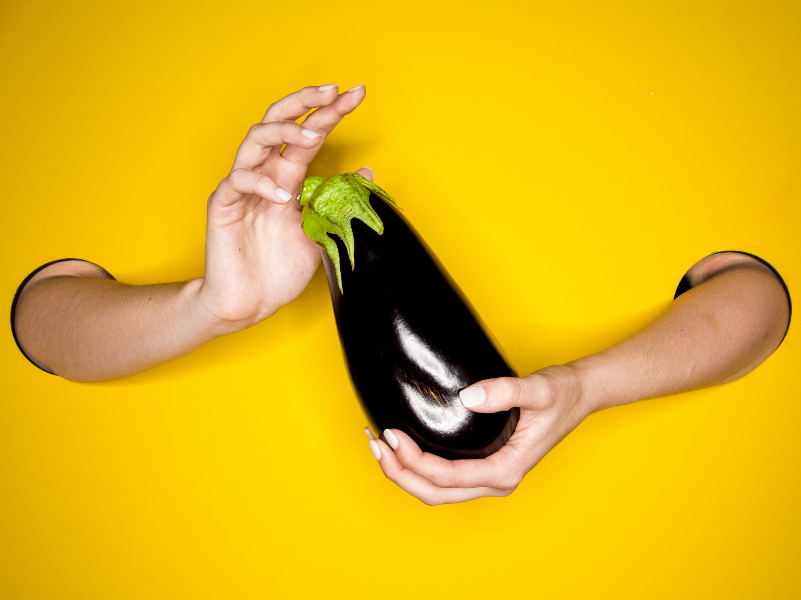 Two hands holding an aubergine.