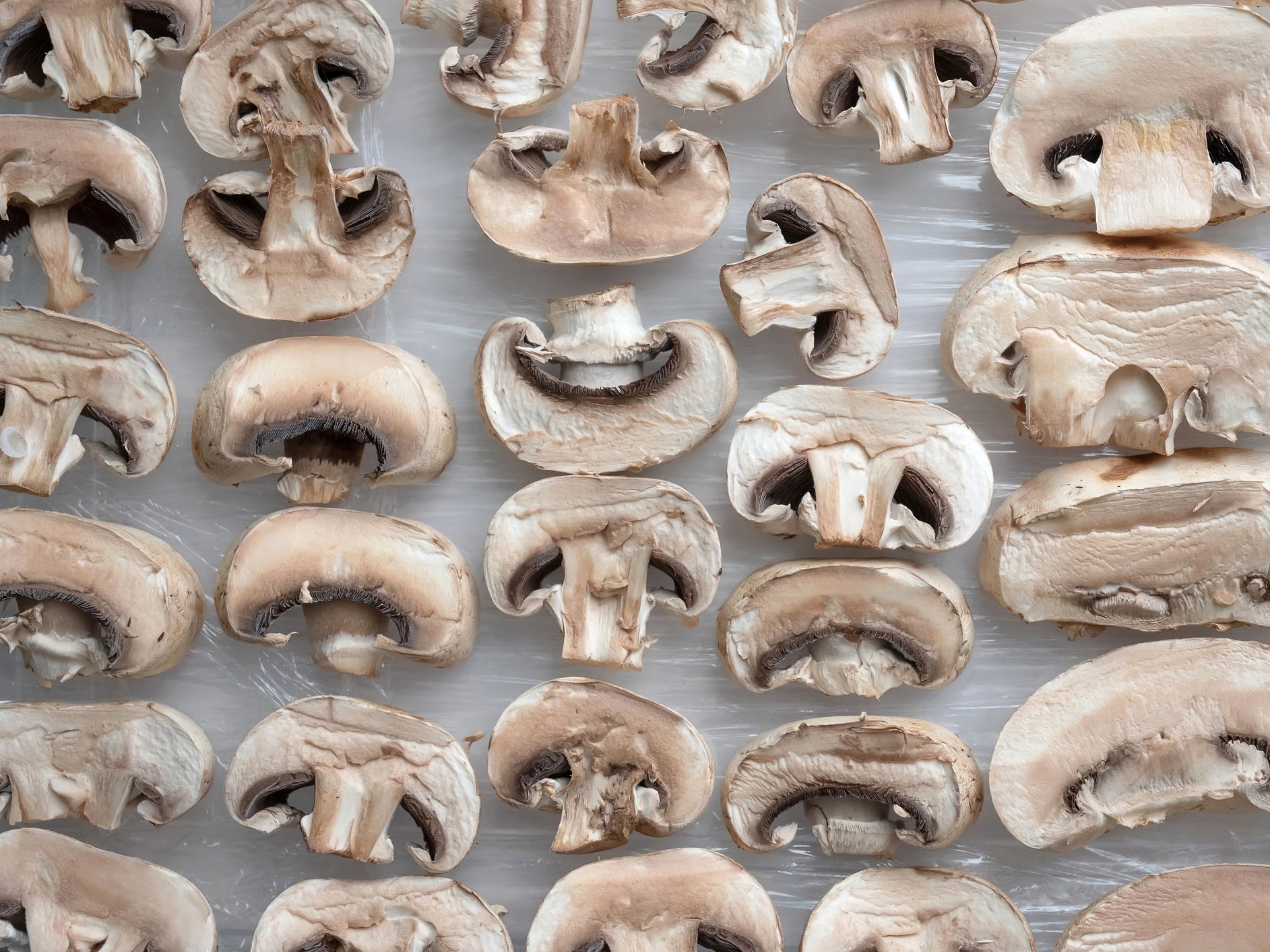 Sliced mushrooms arranged on a baking sheet viewed from above