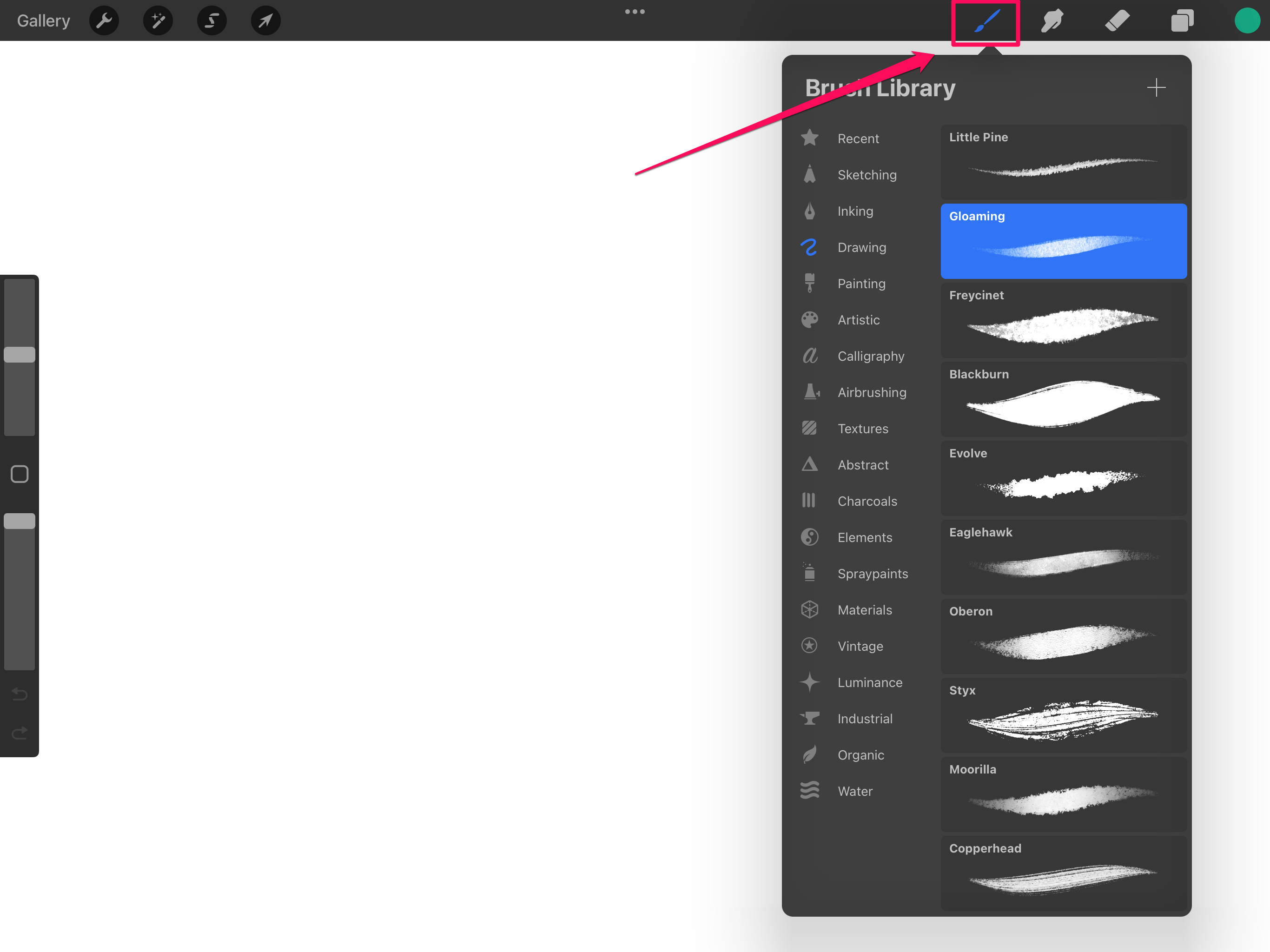 Procreate app on iPad