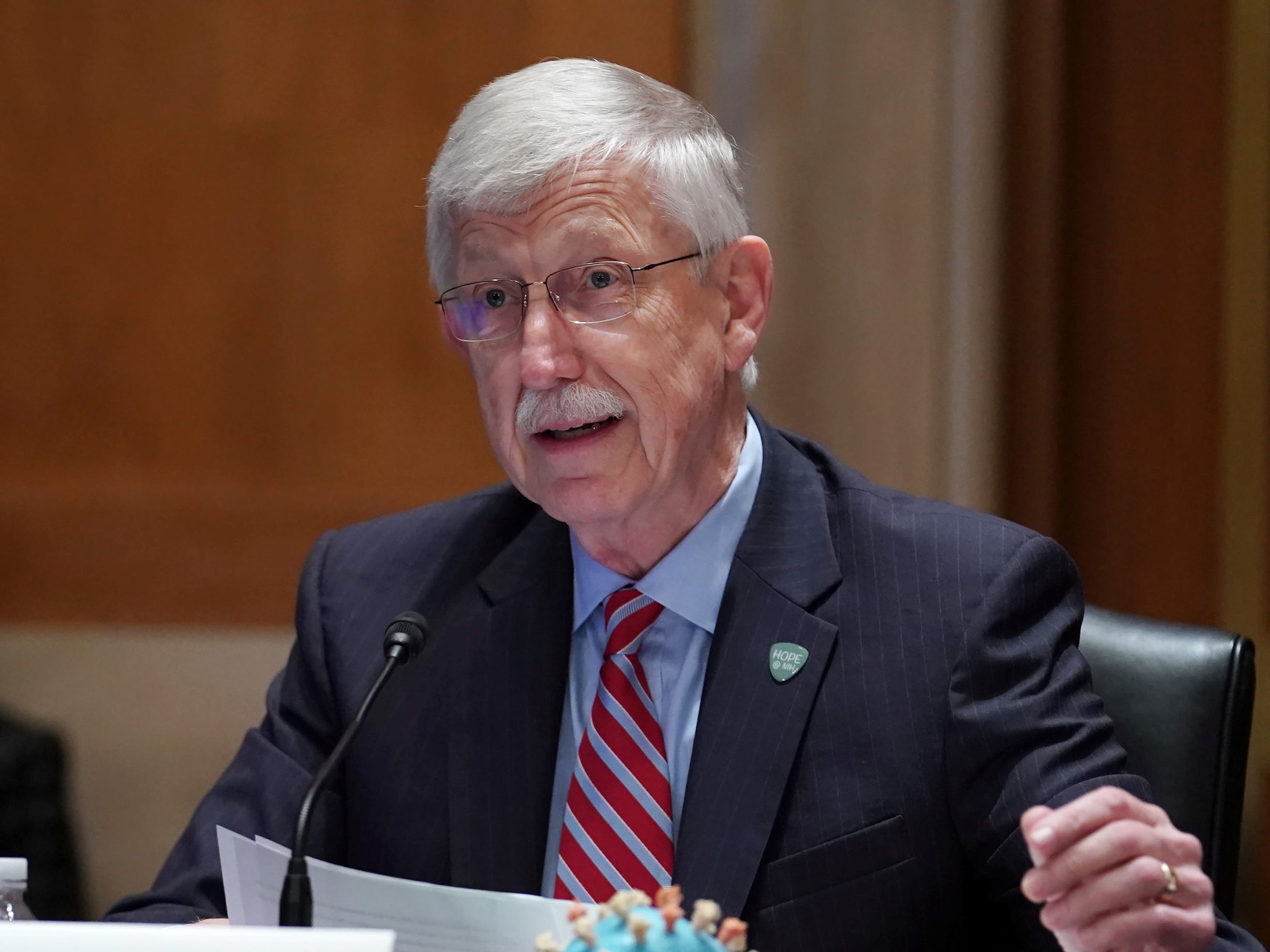 NIH Director Fr. Francis Collins testify before a Senate Appropriations Subcommittee looking into the budget estimates for National Institute of Health (NIH) and the state of medical research on Capitol Hill in Washington, U.S., May 26, 2021.