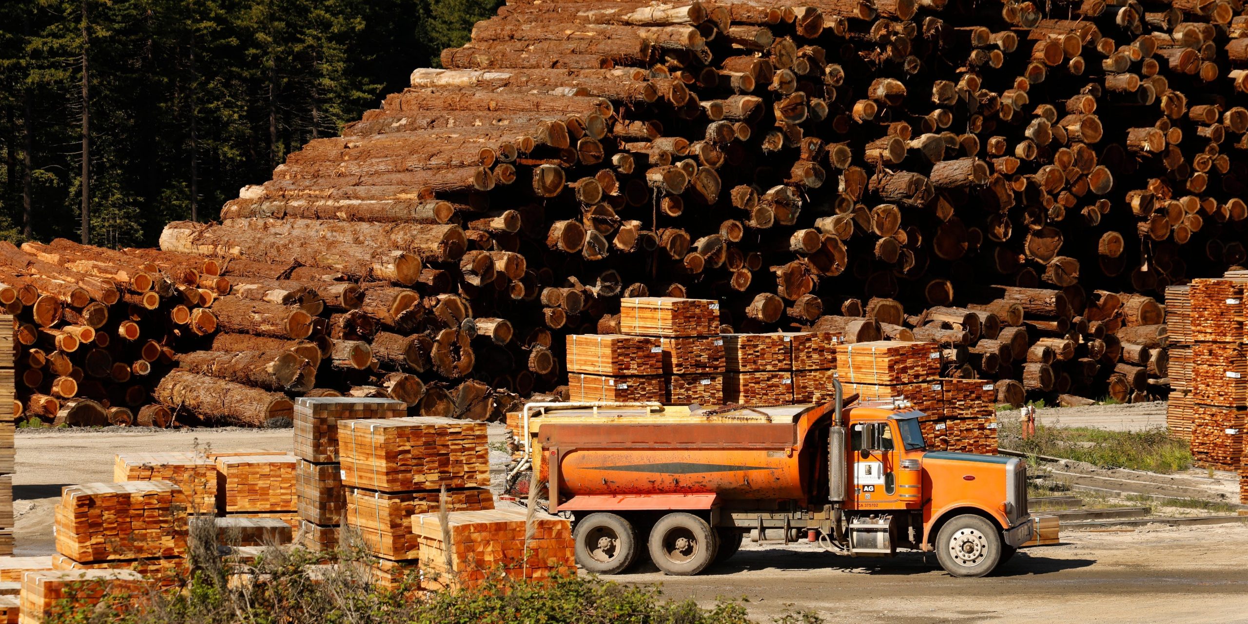 Lumber prices sawmill US logs wood