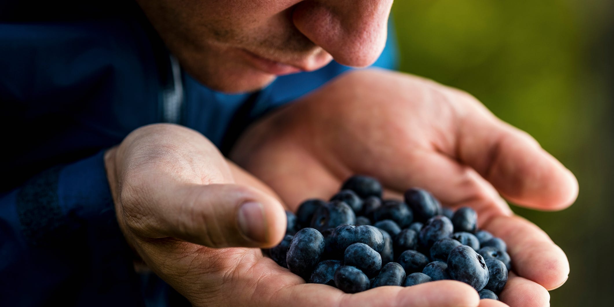 Man holds blueberries in his hands and smells them.